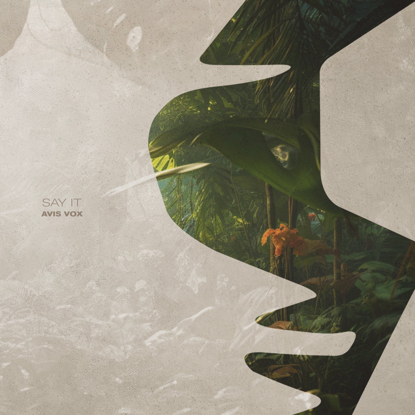Cover art for Say It