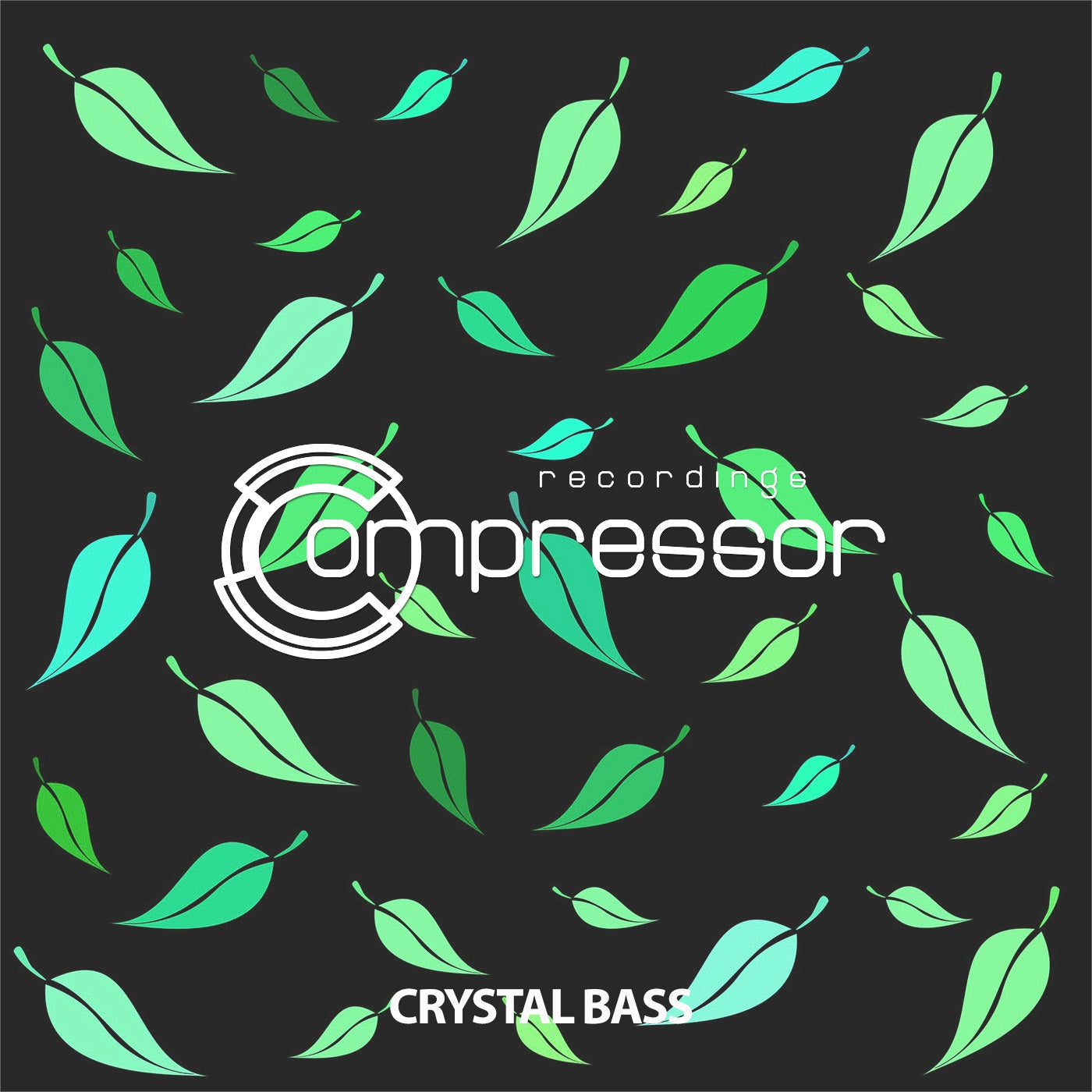 Crystal Bass