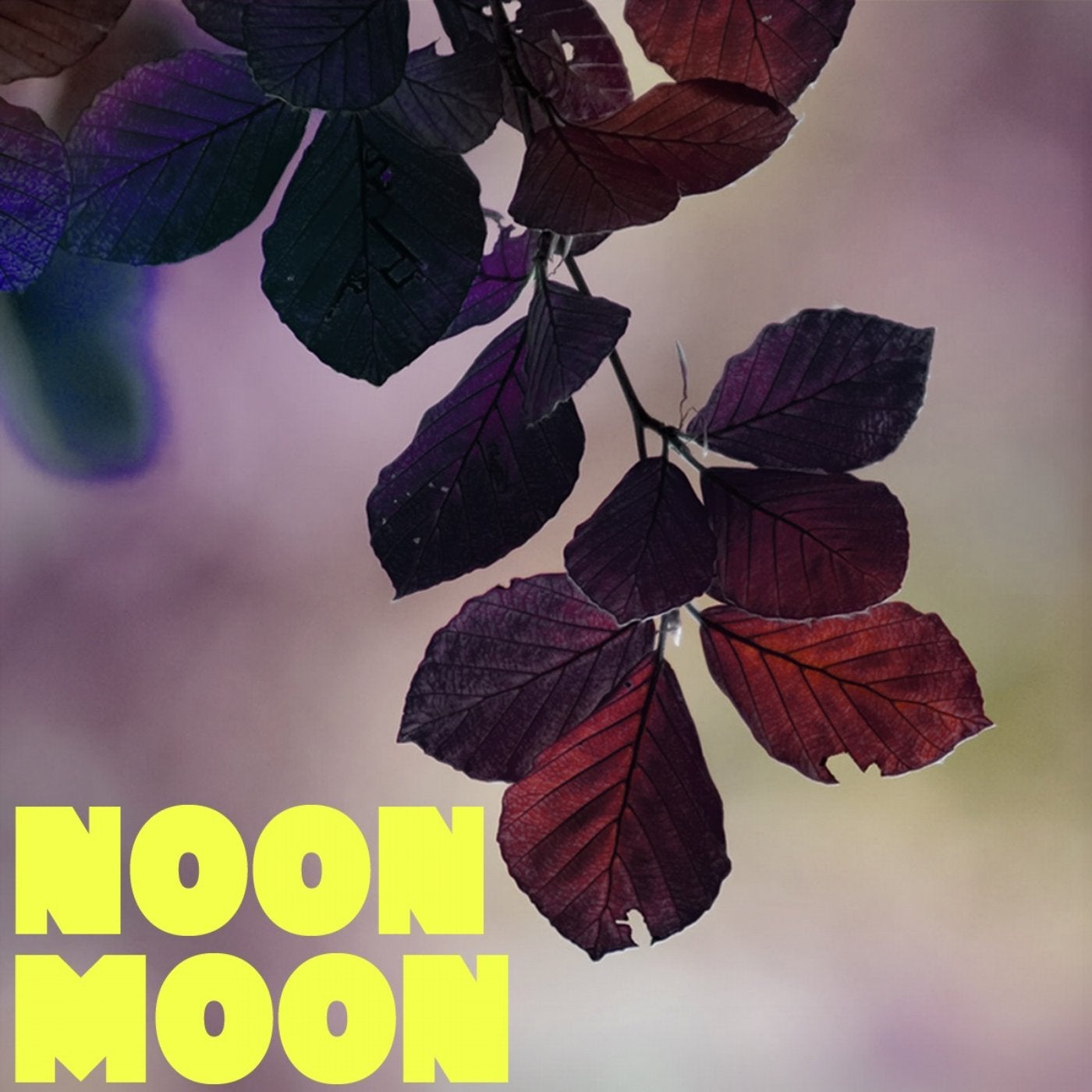 Noon Moon