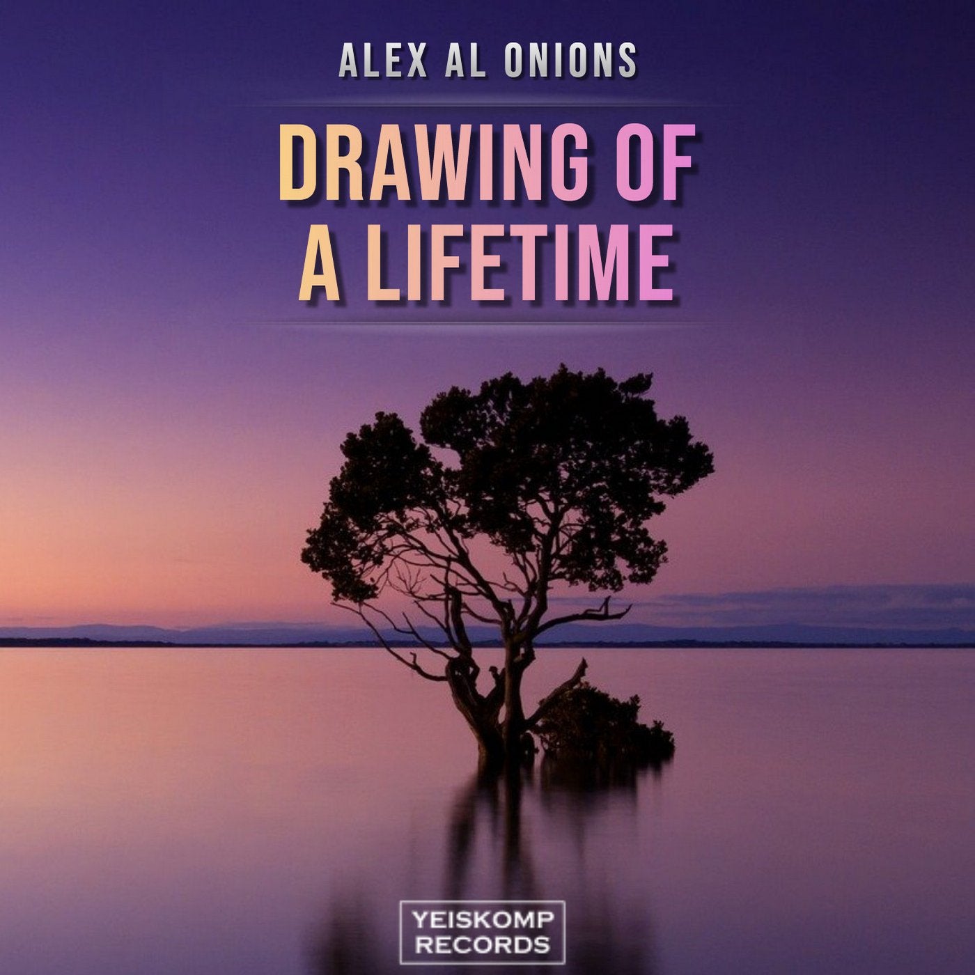Drawing Of A Lifetime
