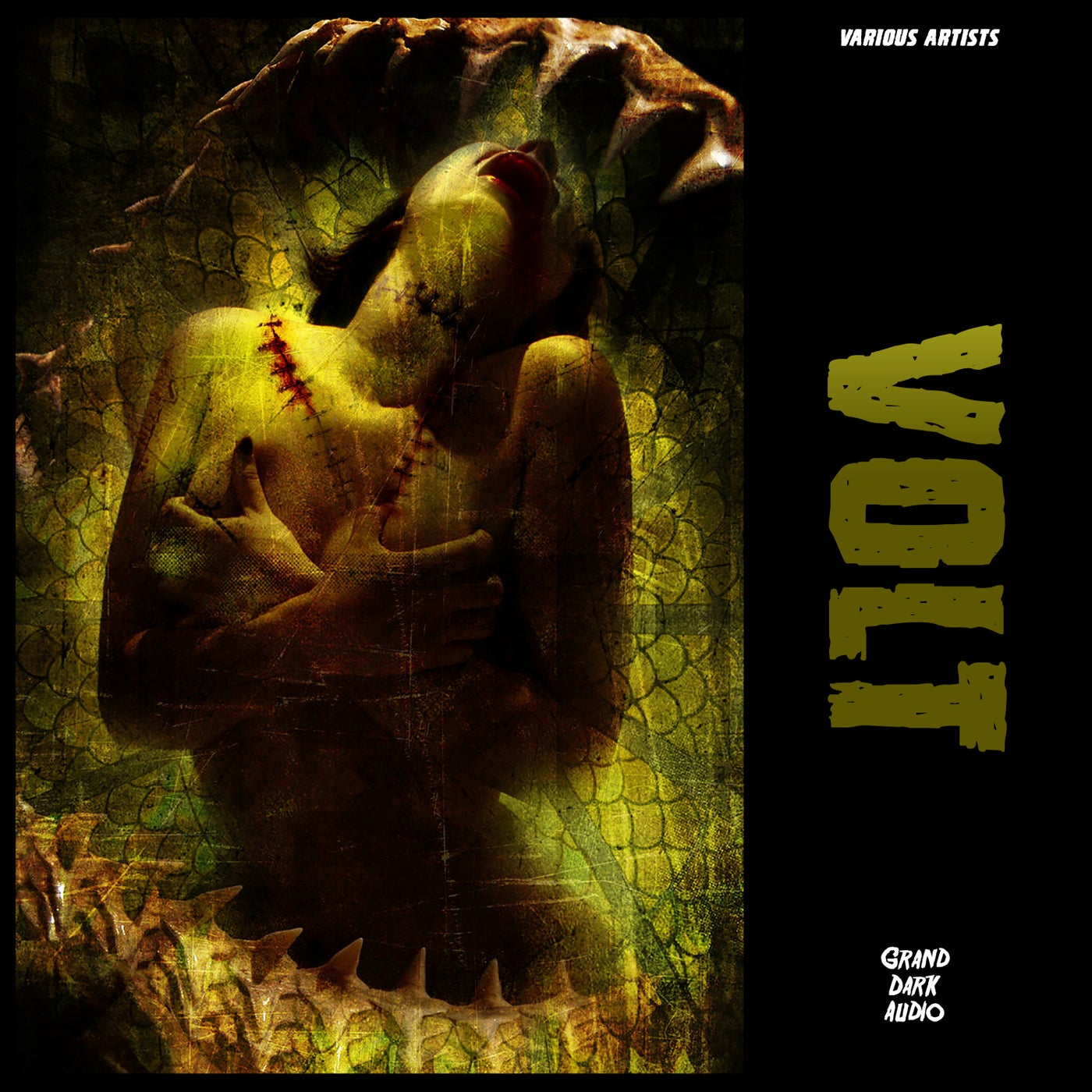 Volt