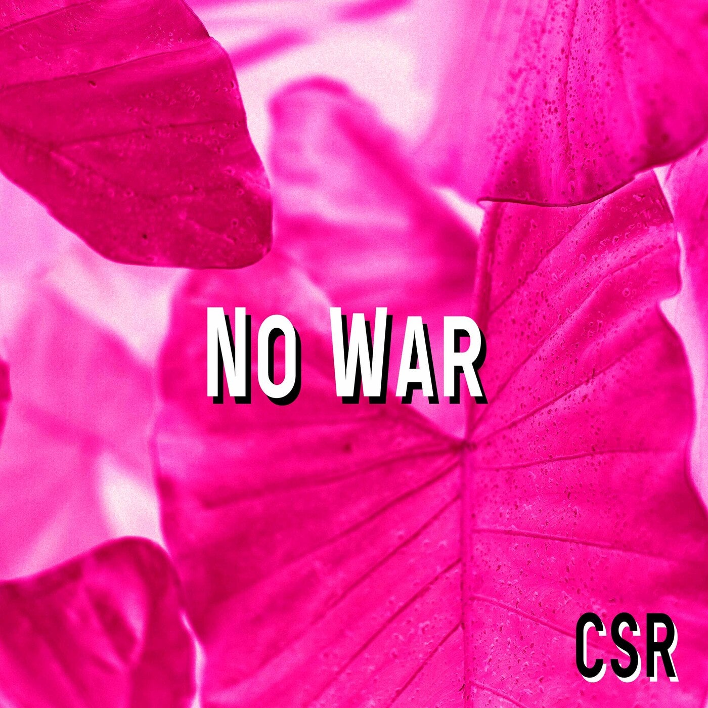 No War