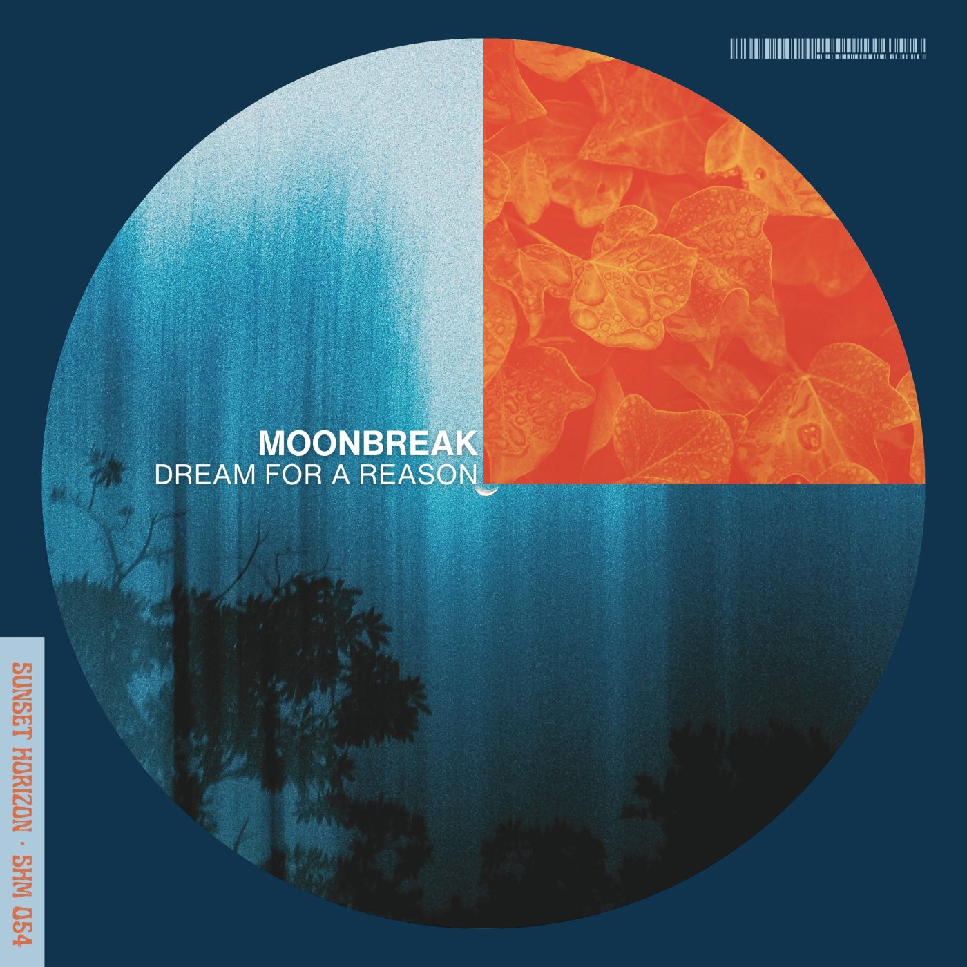 Dream for a Reason