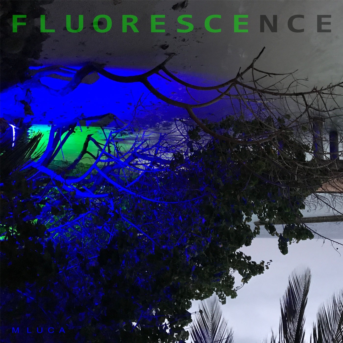 Fluorescence