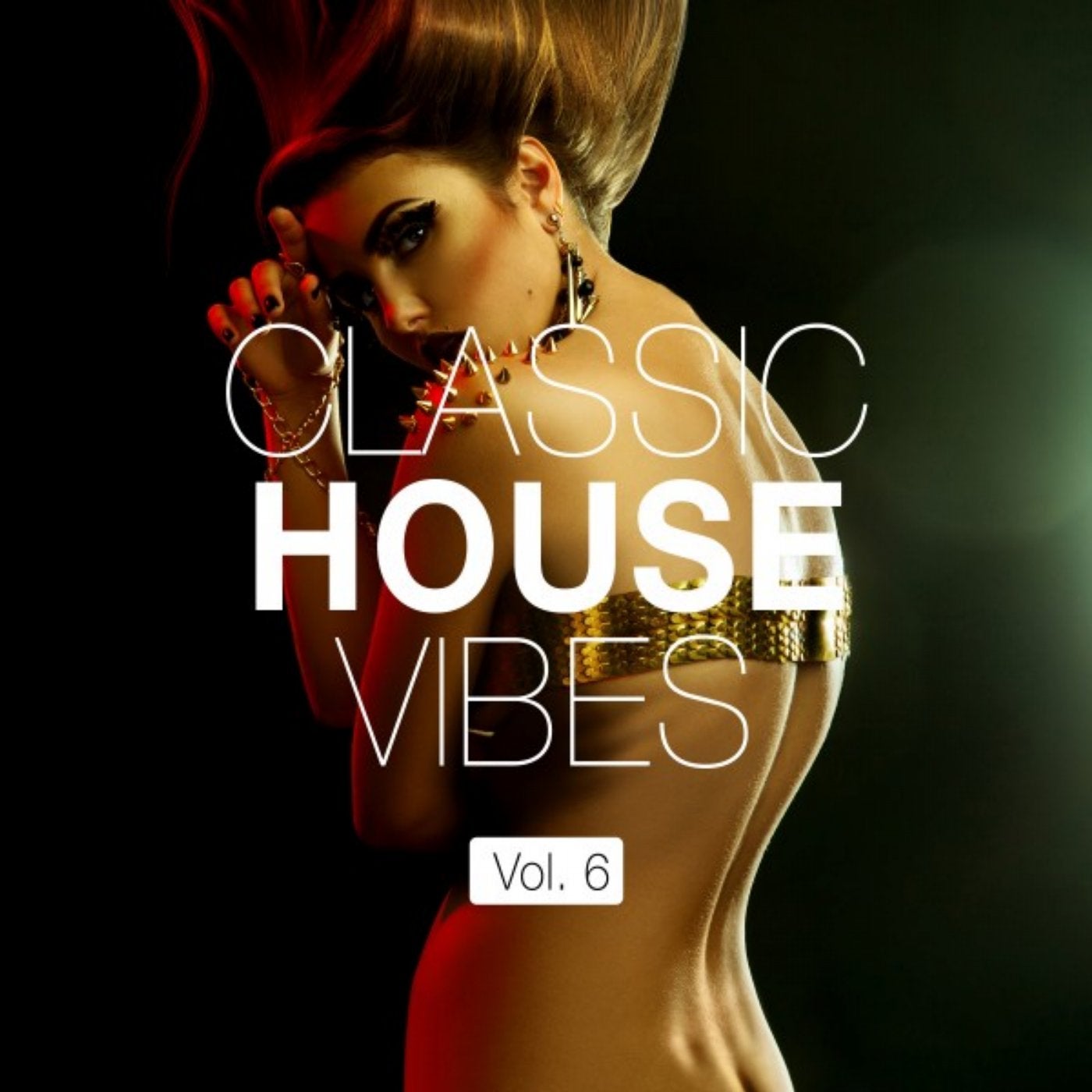 Classic House Vibes, Vol. 6