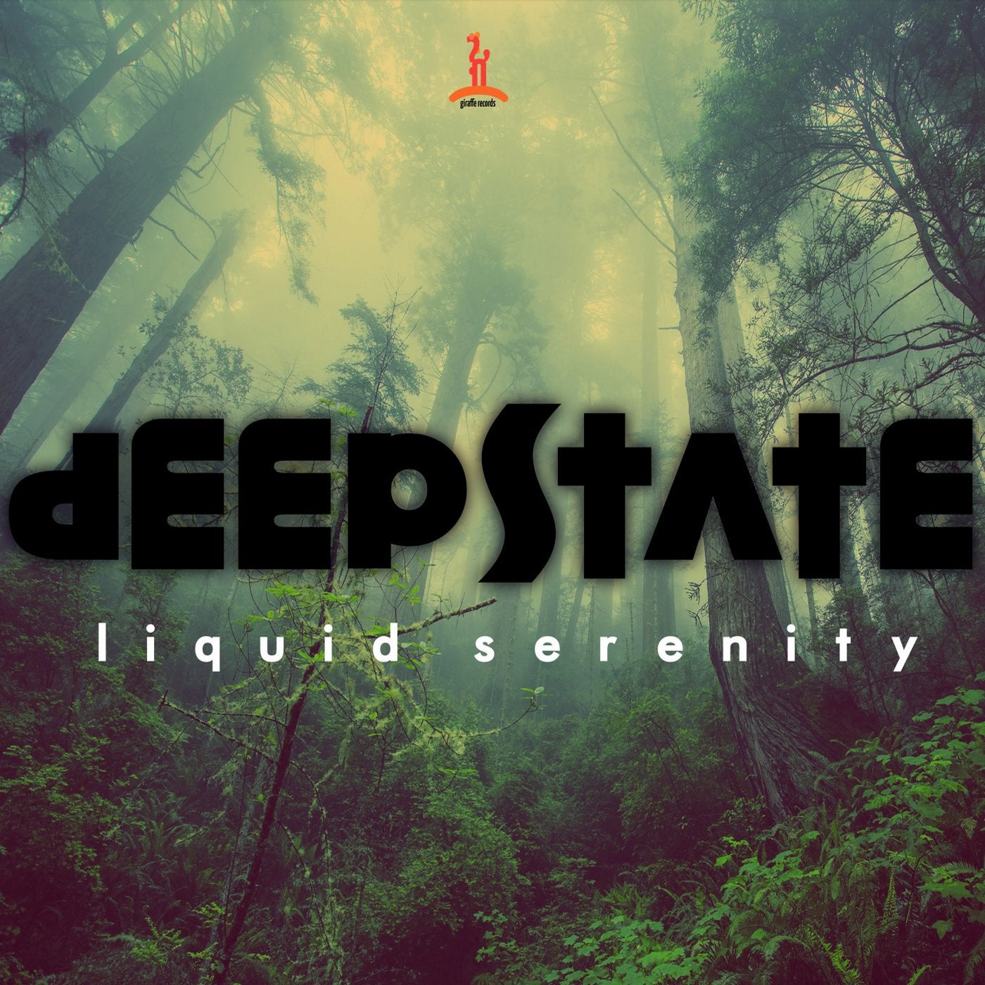 Liquid Serenity