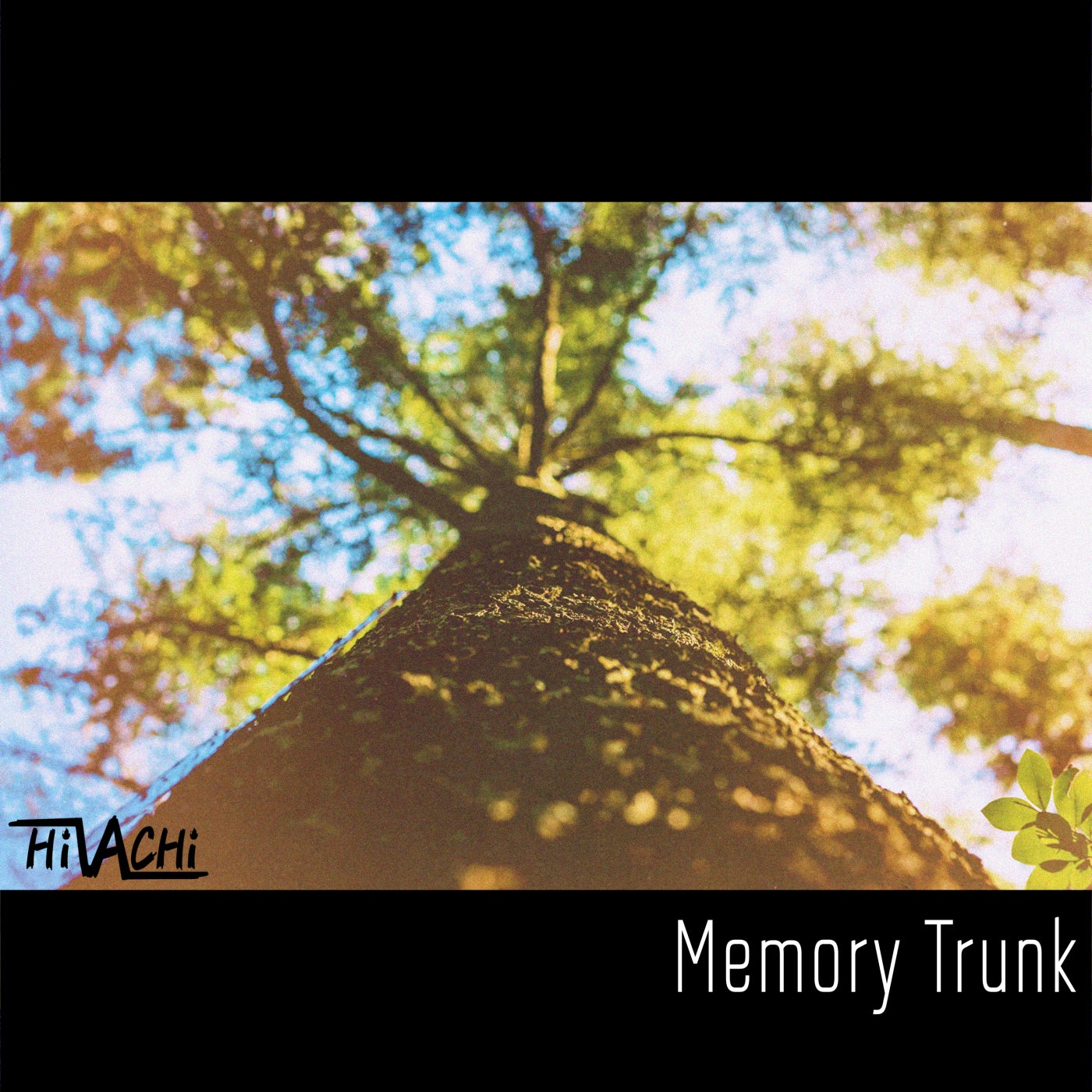 Memory Trunk