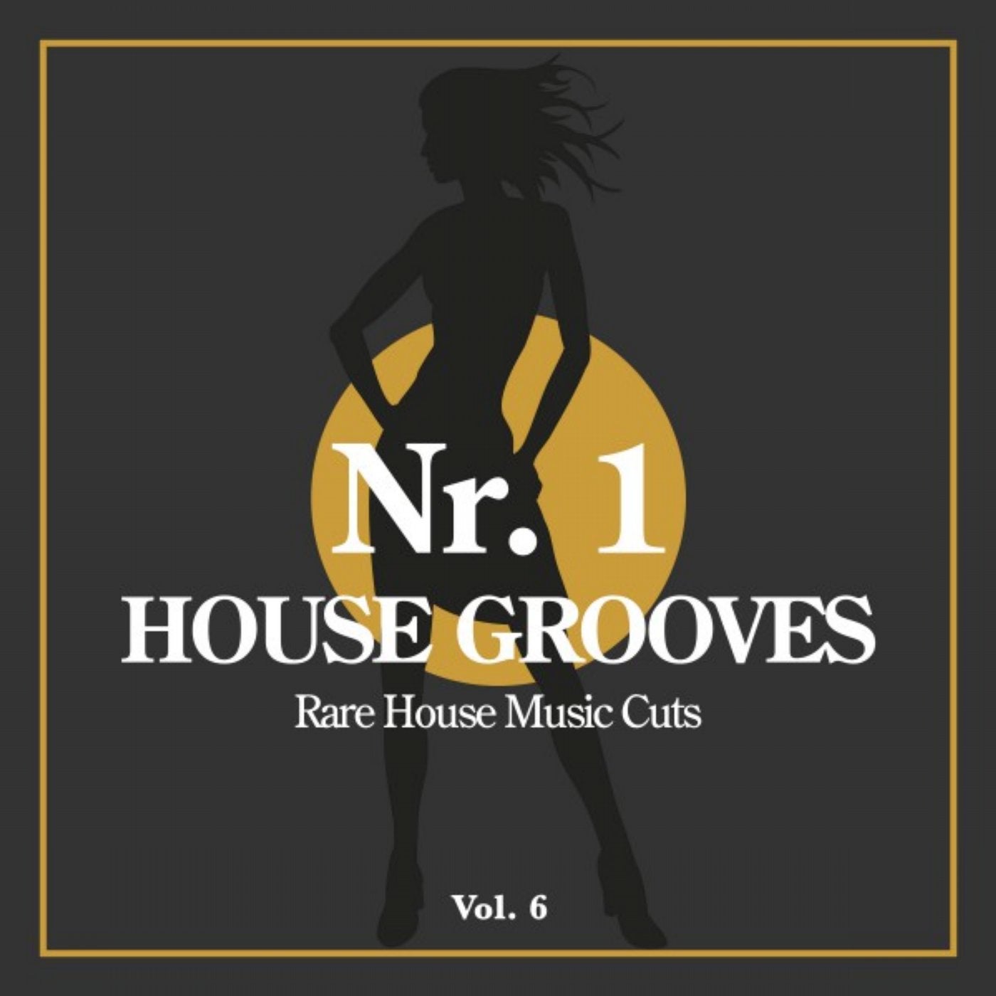 Nr. 1 House Grooves, Vol. 6 (Rare House Music Cuts)
