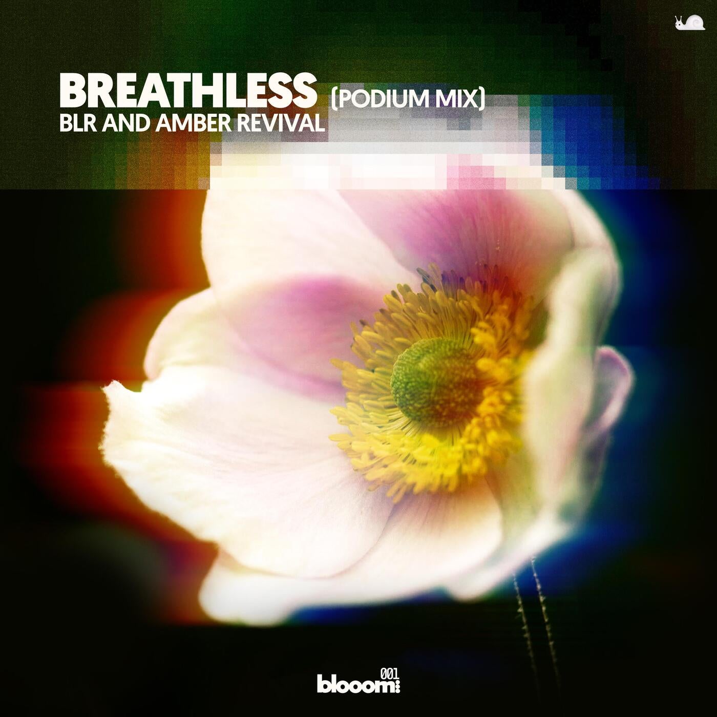 BLR Music & Downloads on Beatport