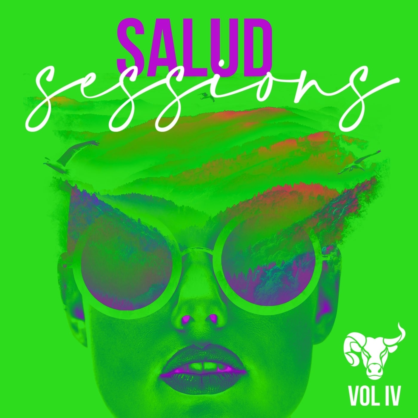 Salud Sessions, Vol. 4