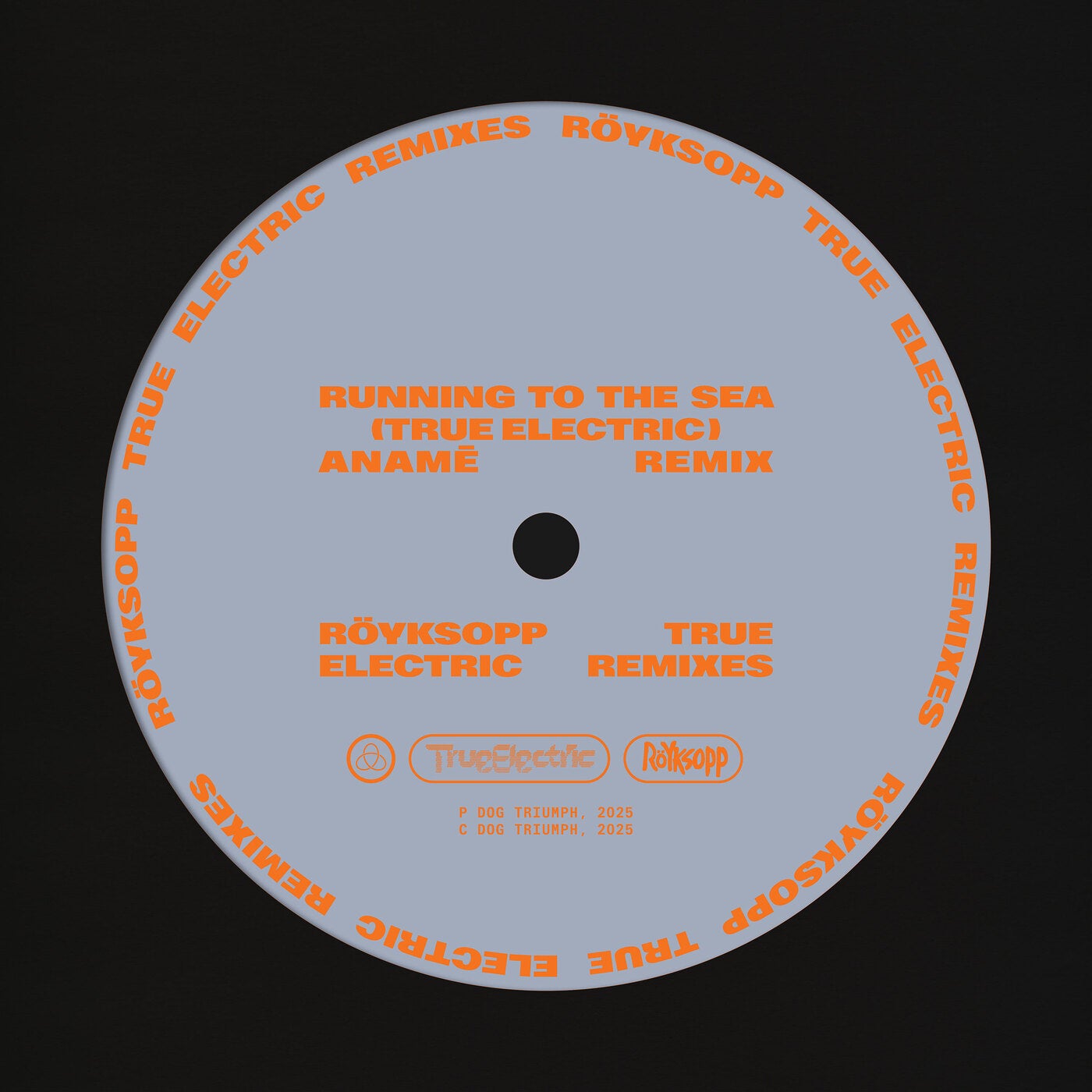 Running To The Sea (feat. Susanne Sundfor) [aname Remix]