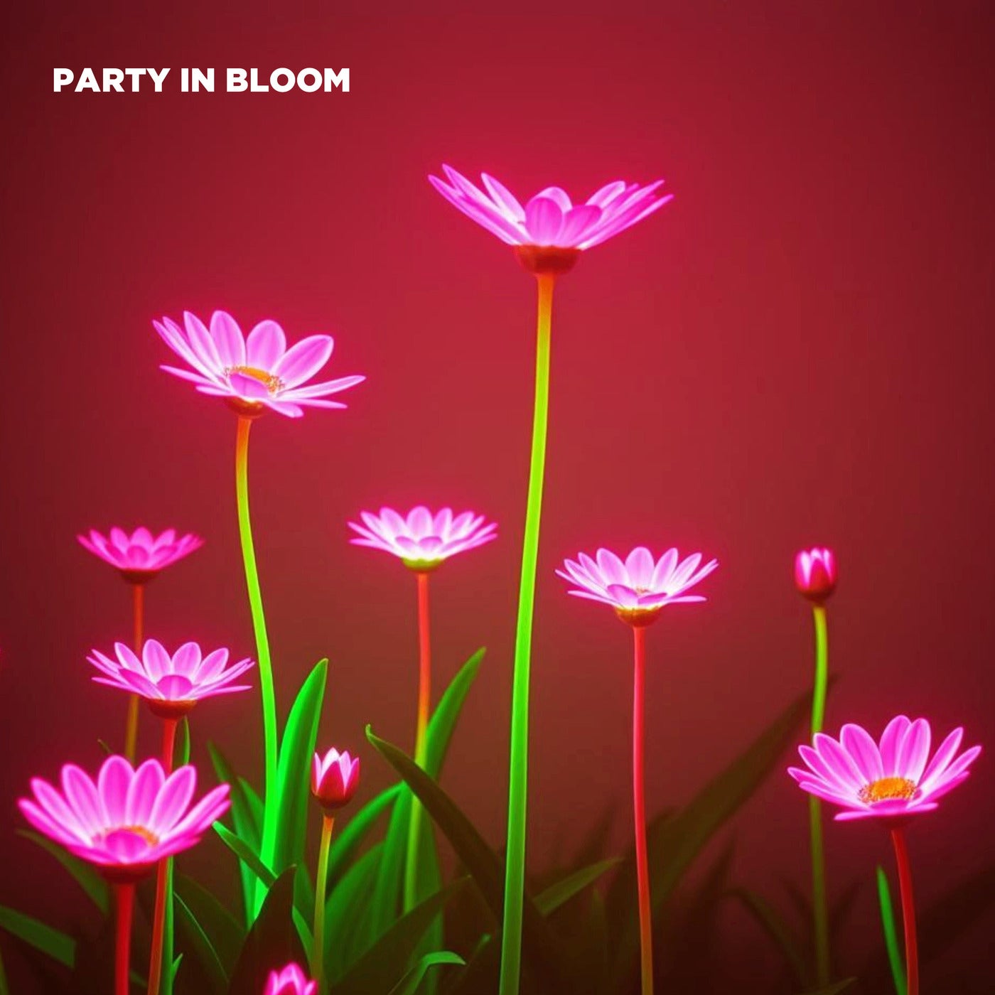 Party in Bloom