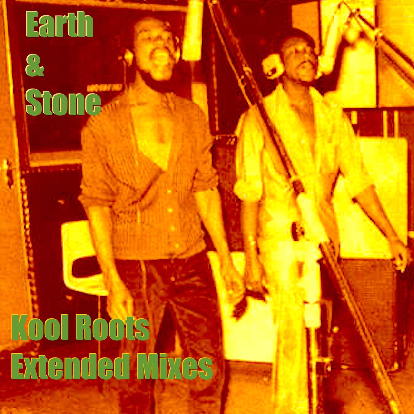 Cover art for Kool Roots Extended Mixes