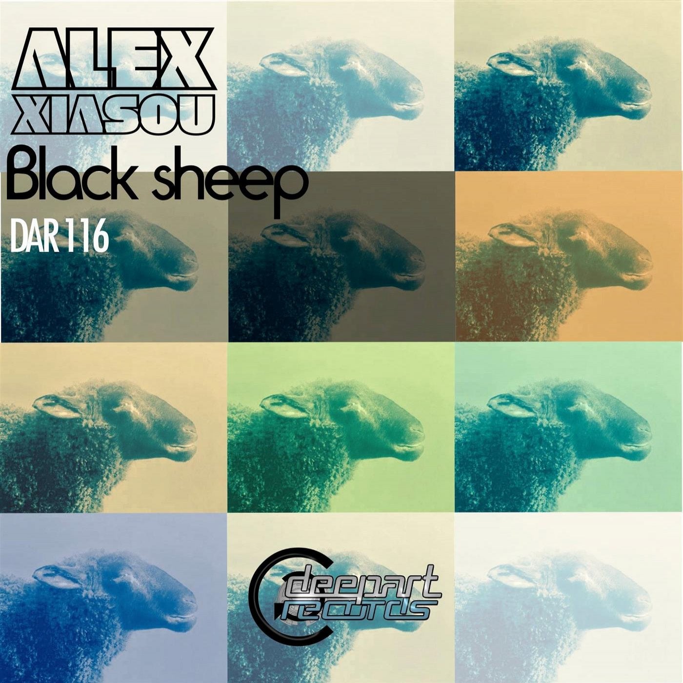 Black Sheep