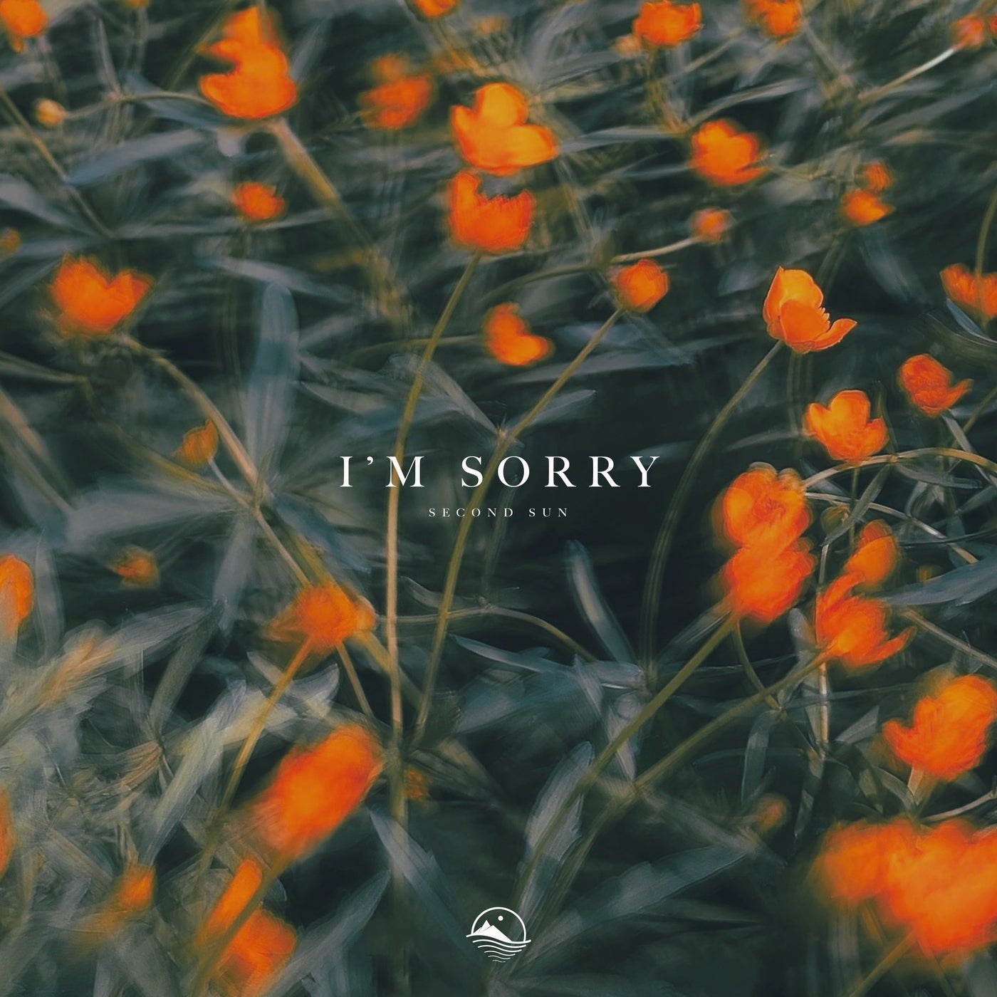 I'm Sorry