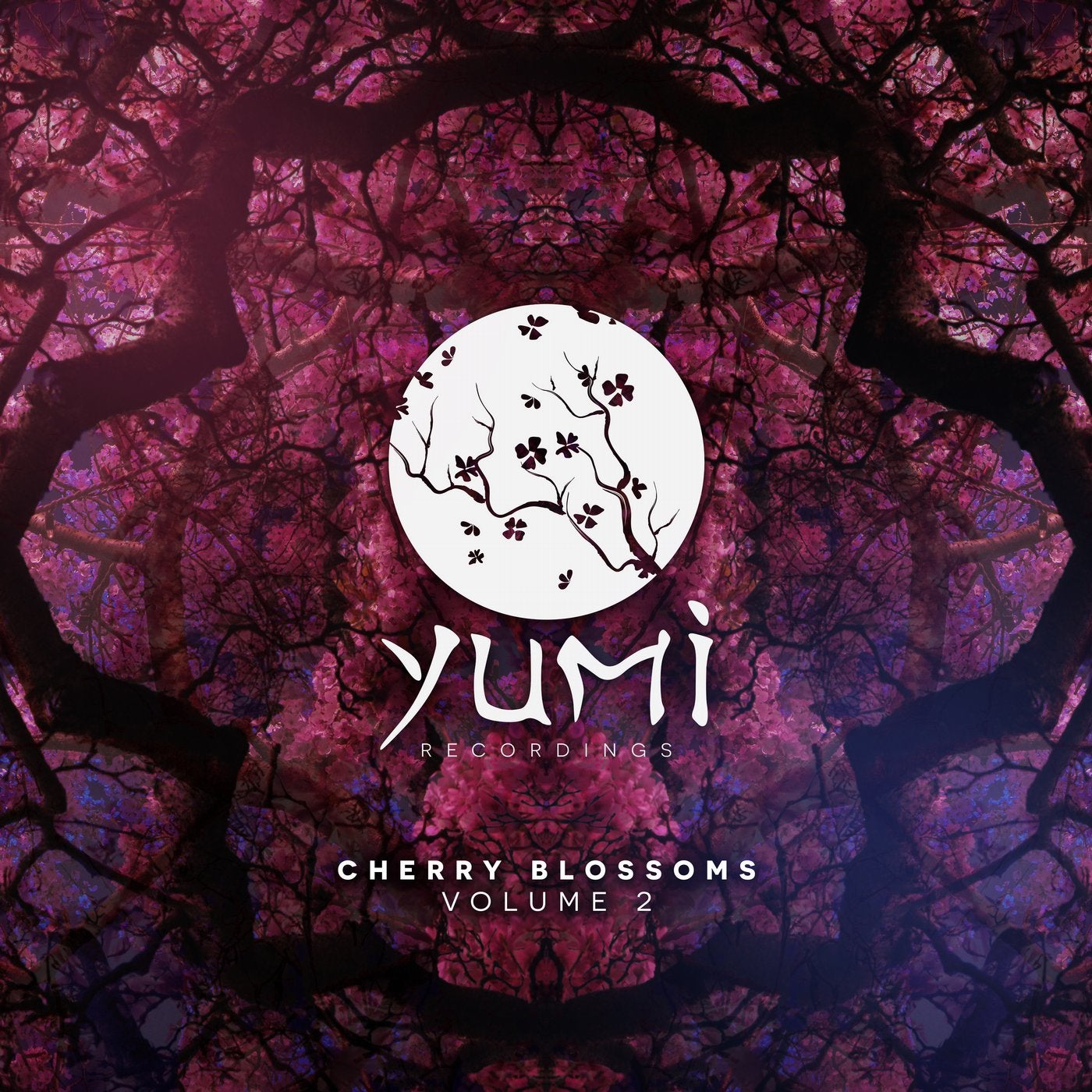 Cherry Blossoms Volume 2