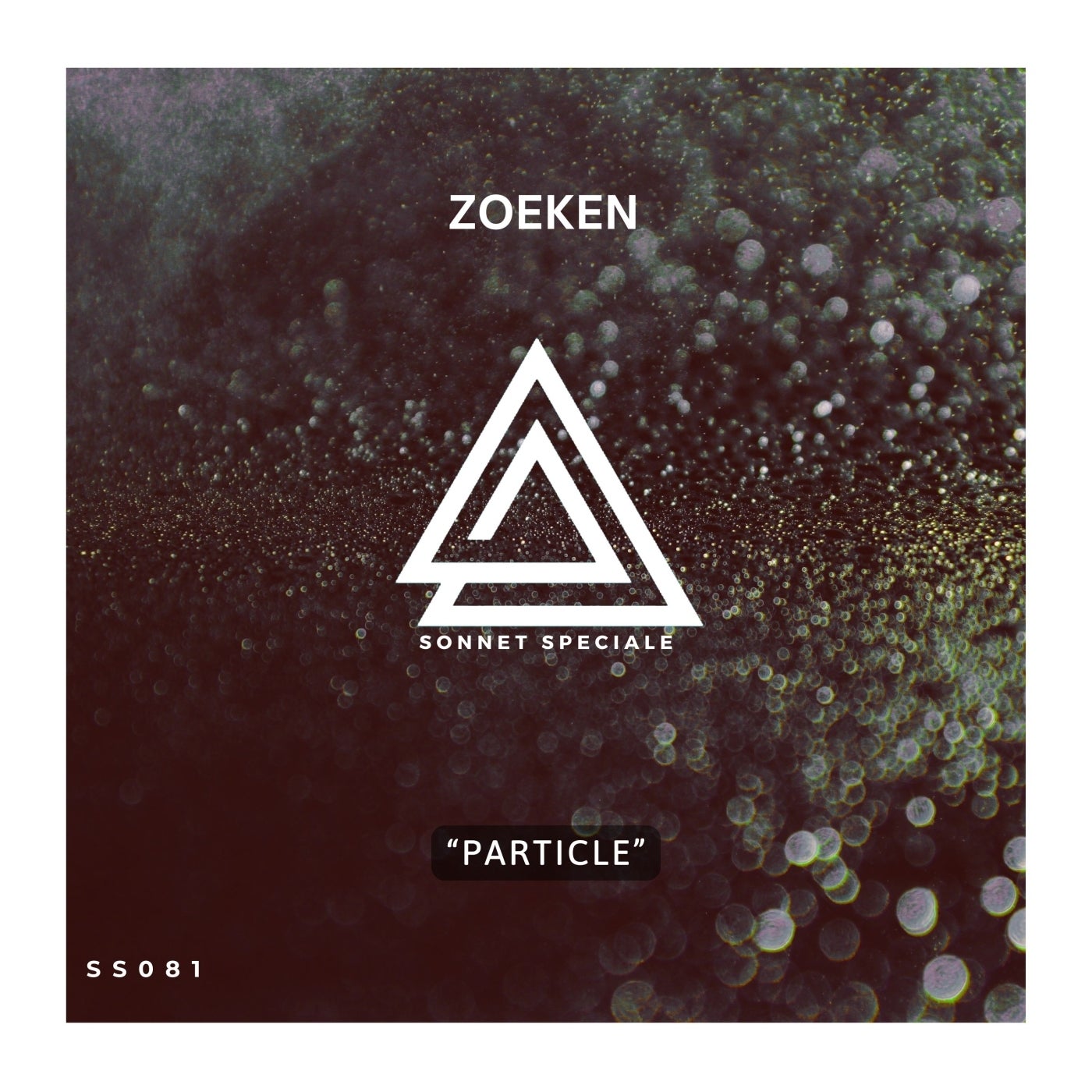 Particle