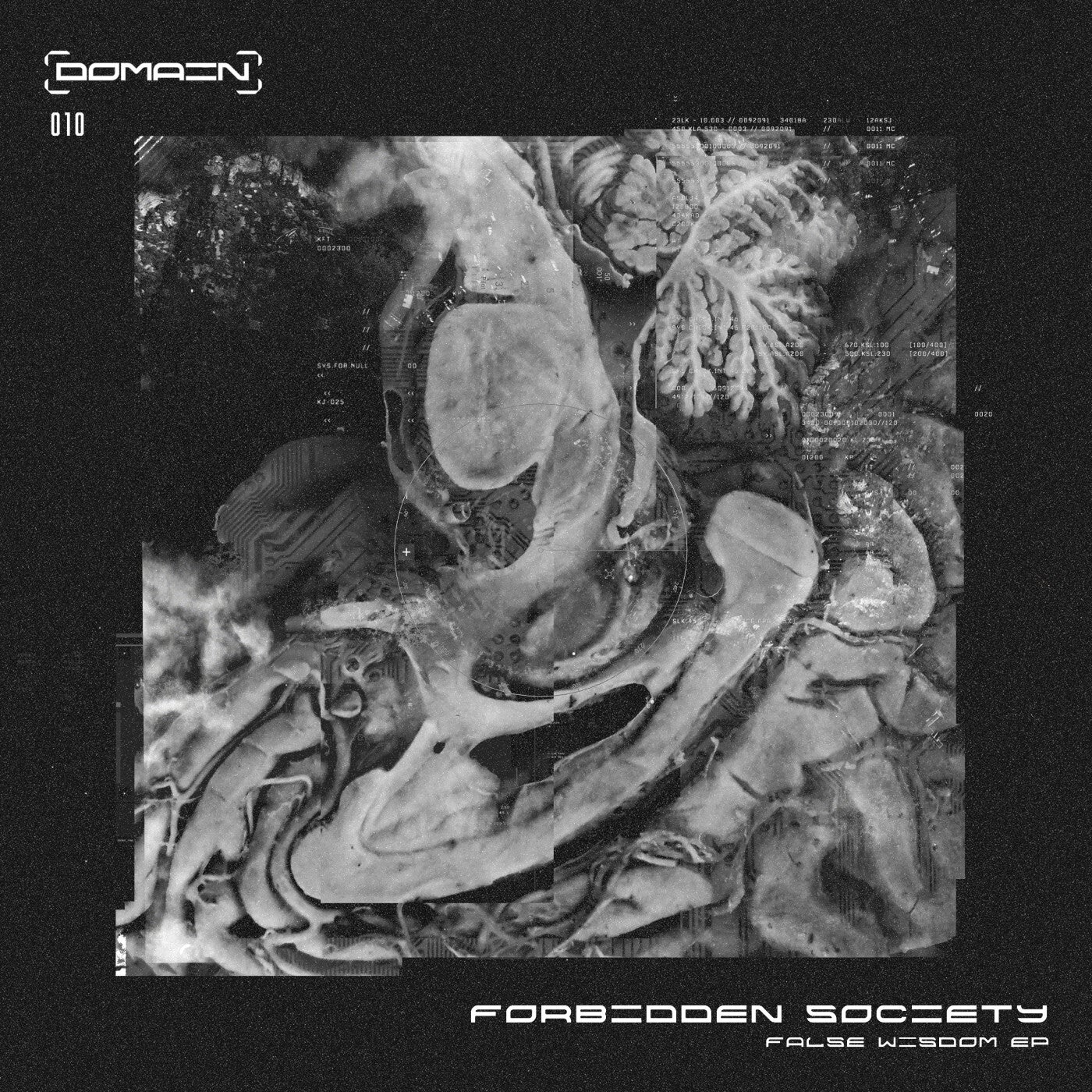 False Wisdom EP