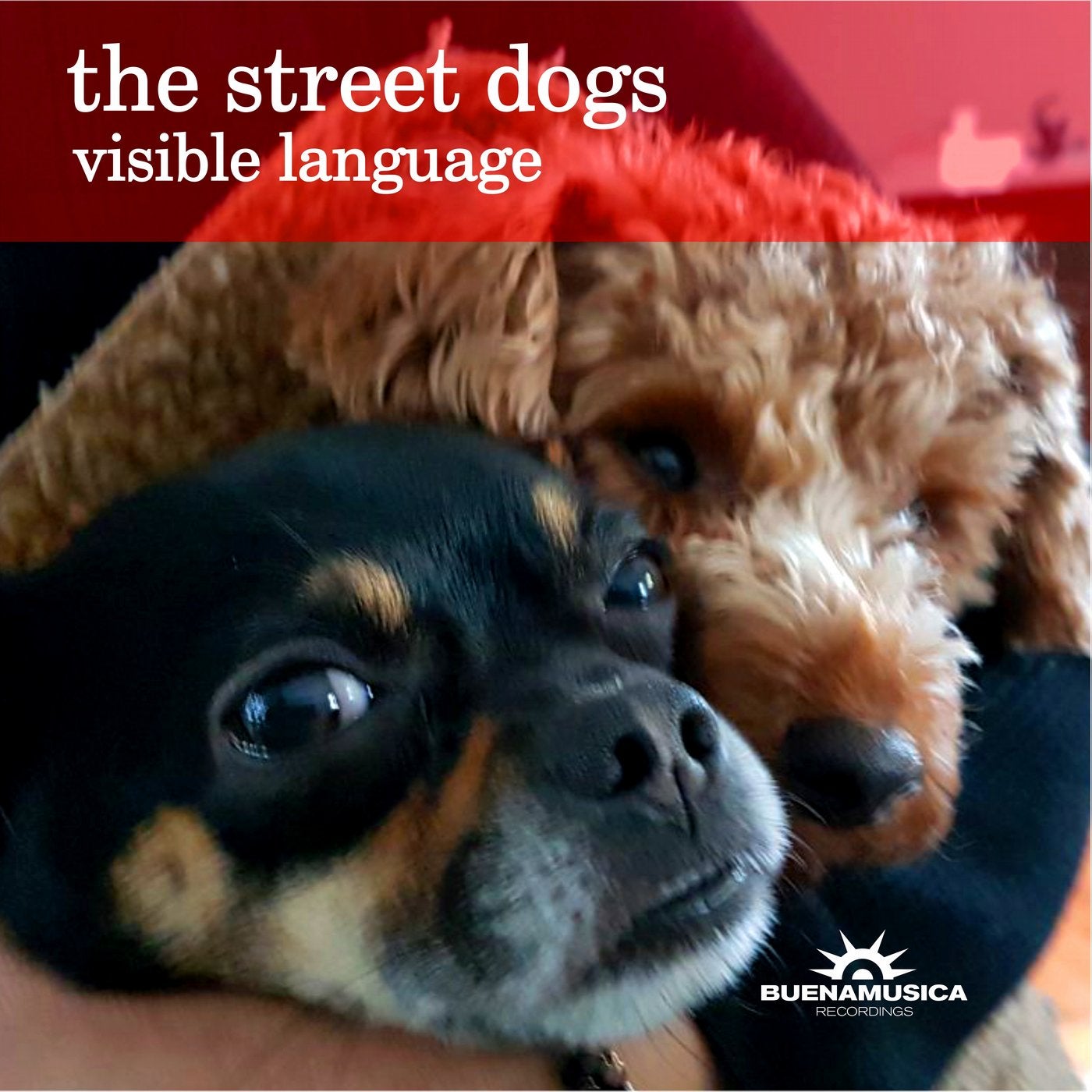 Visible Language