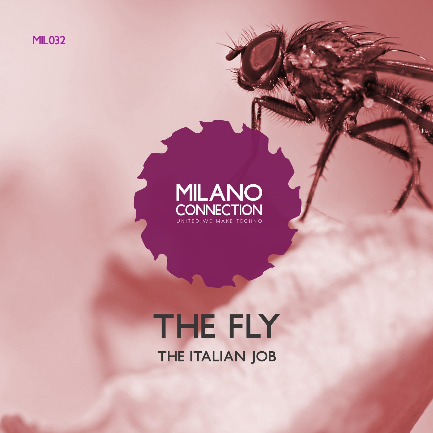 The Fly