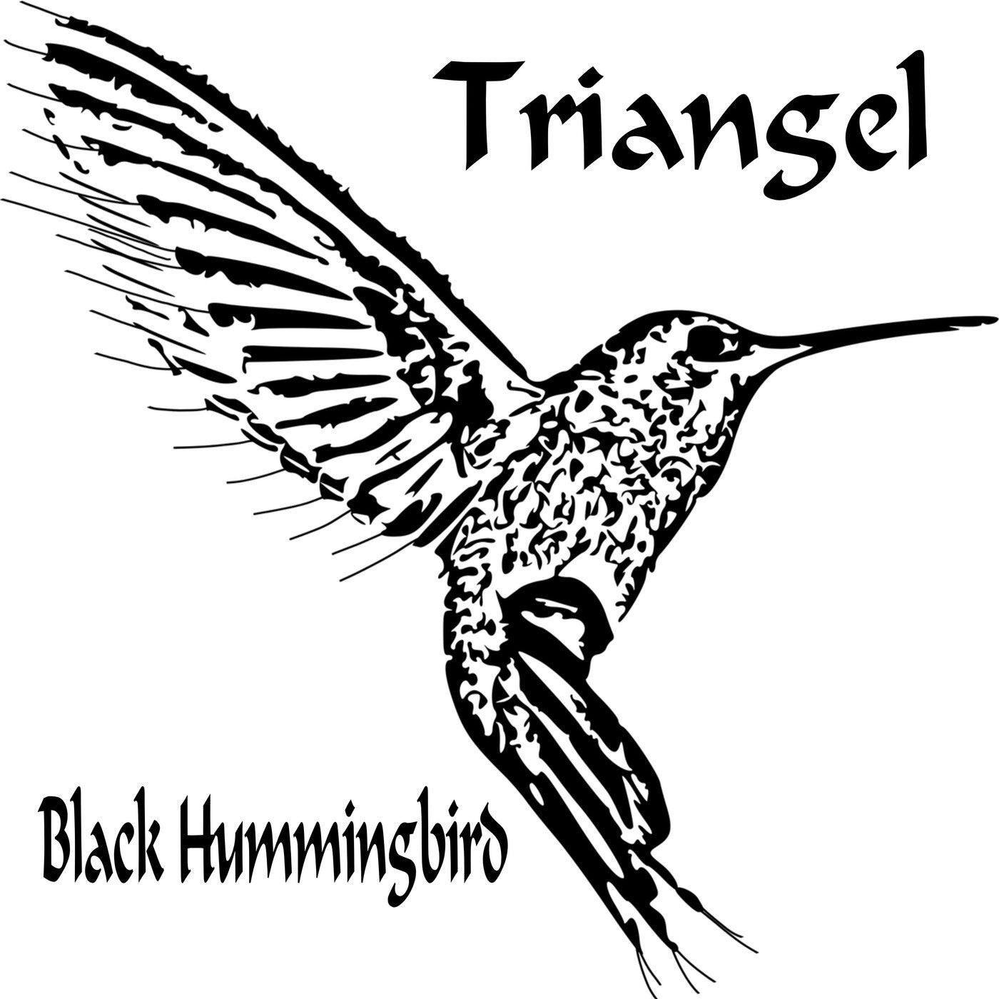 Black Hummingbird