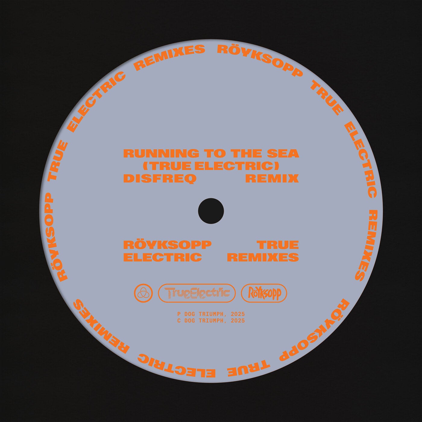 Running To The Sea (feat. Susanne Sundfor) [Disfreq Remix]