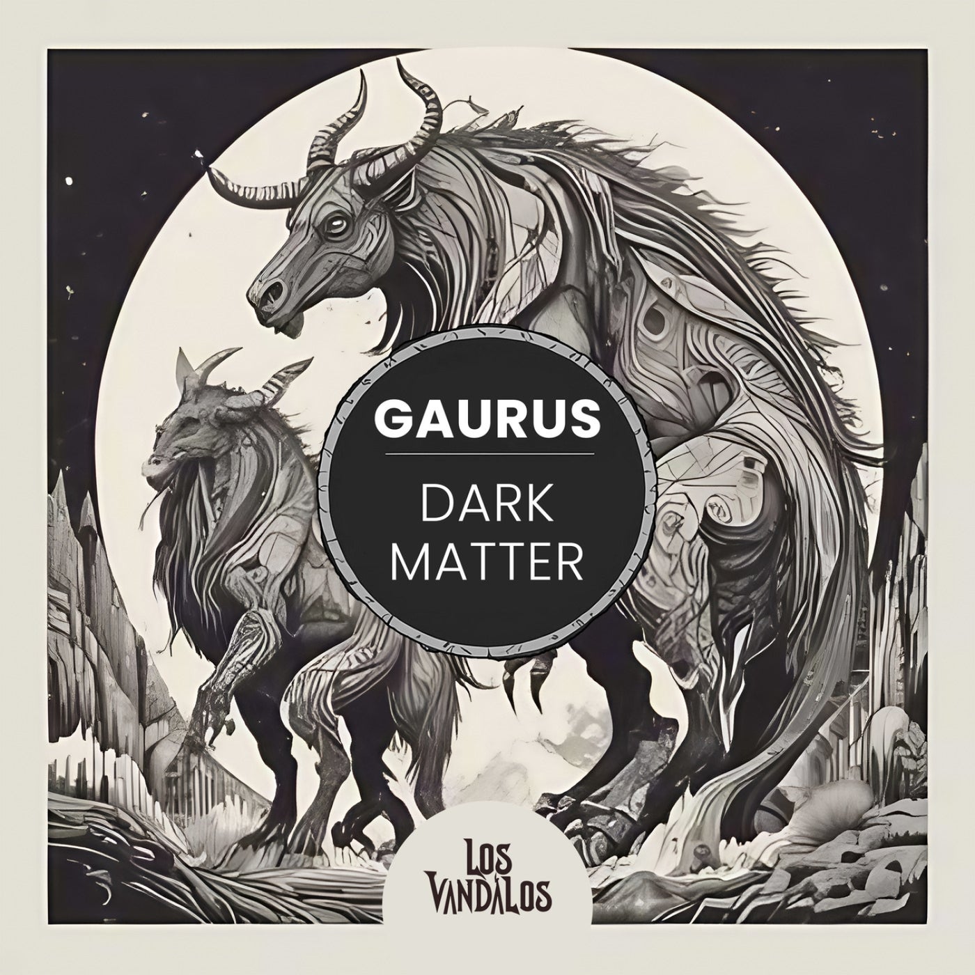 Dark Matter