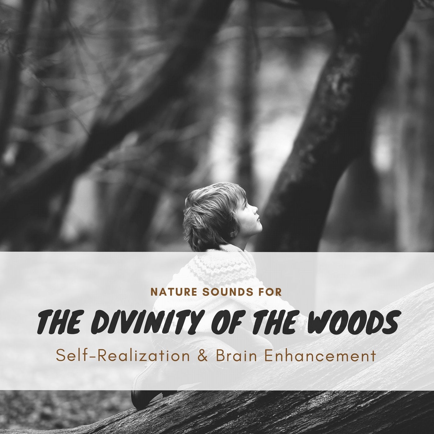 The Divinity Of The Woods - Nature Sounds For Self-Realization & Brain Enhancement