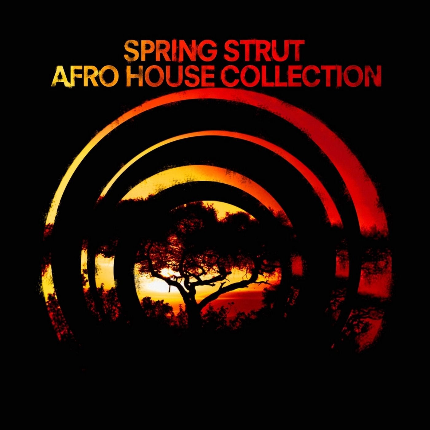 Spring Strut Afro House Collection