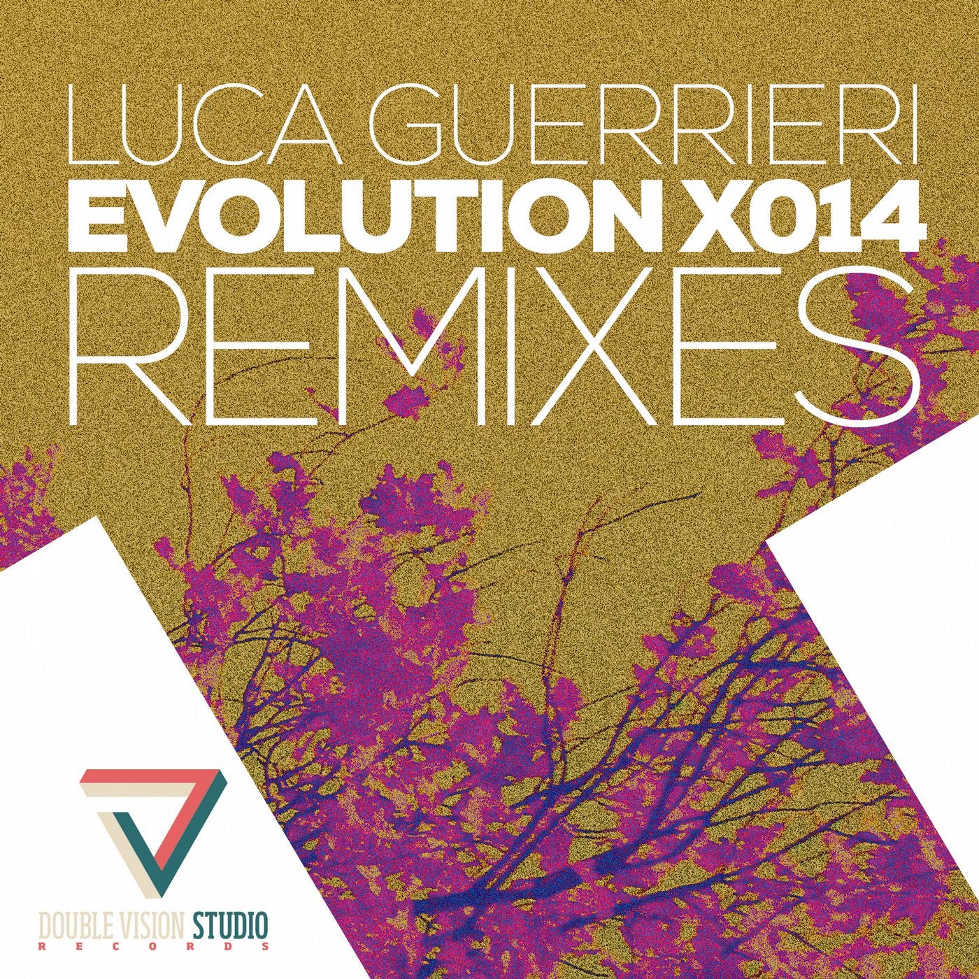 Evolution X014 Remixes