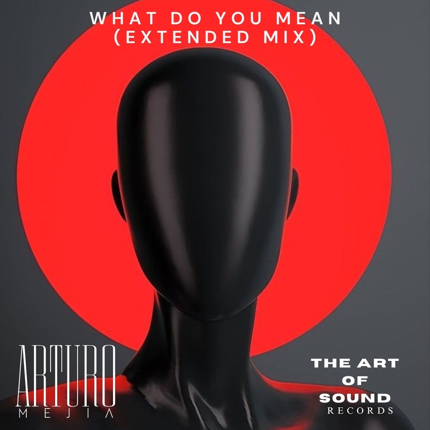 What Do You Mean (Extended Mix)