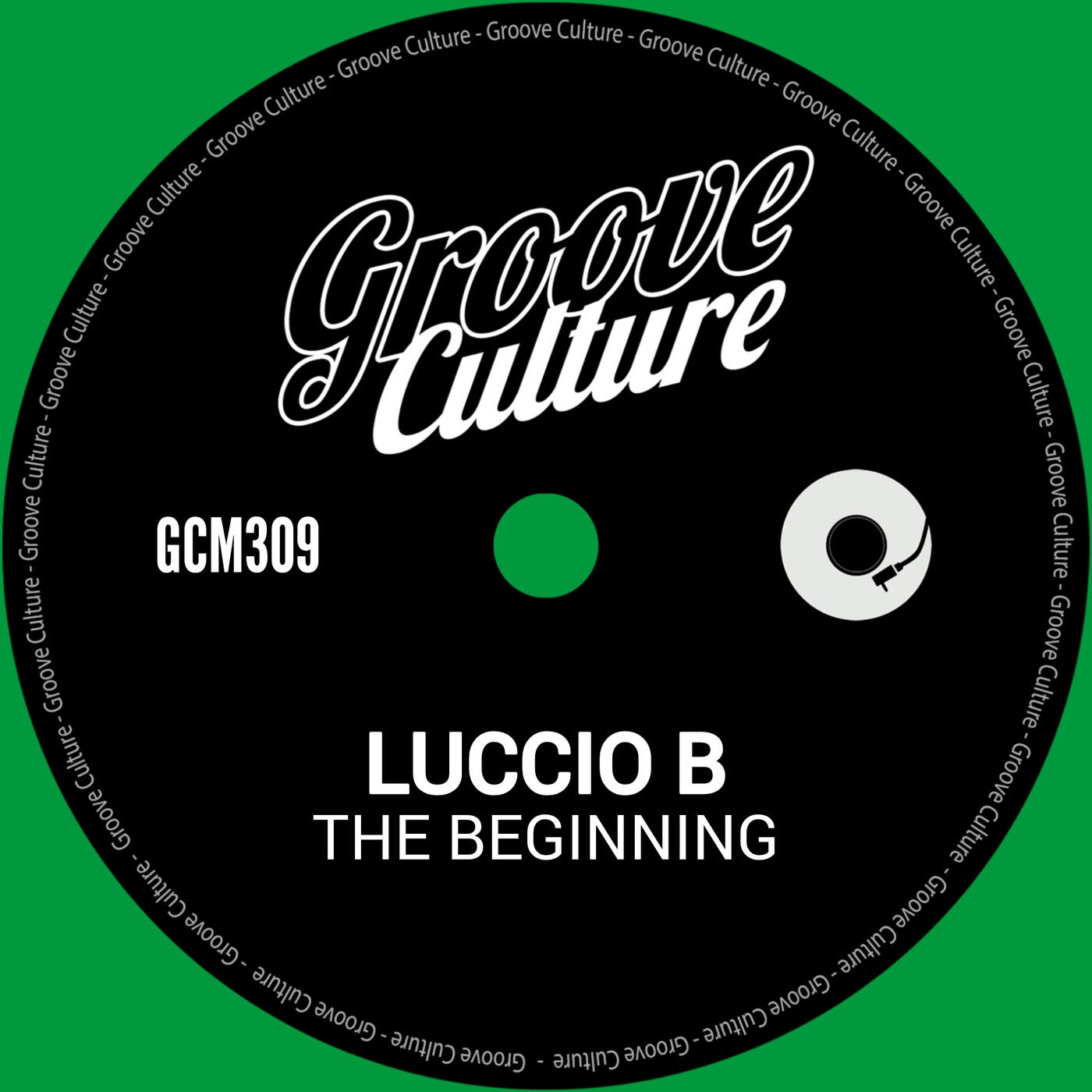 The Beginning
