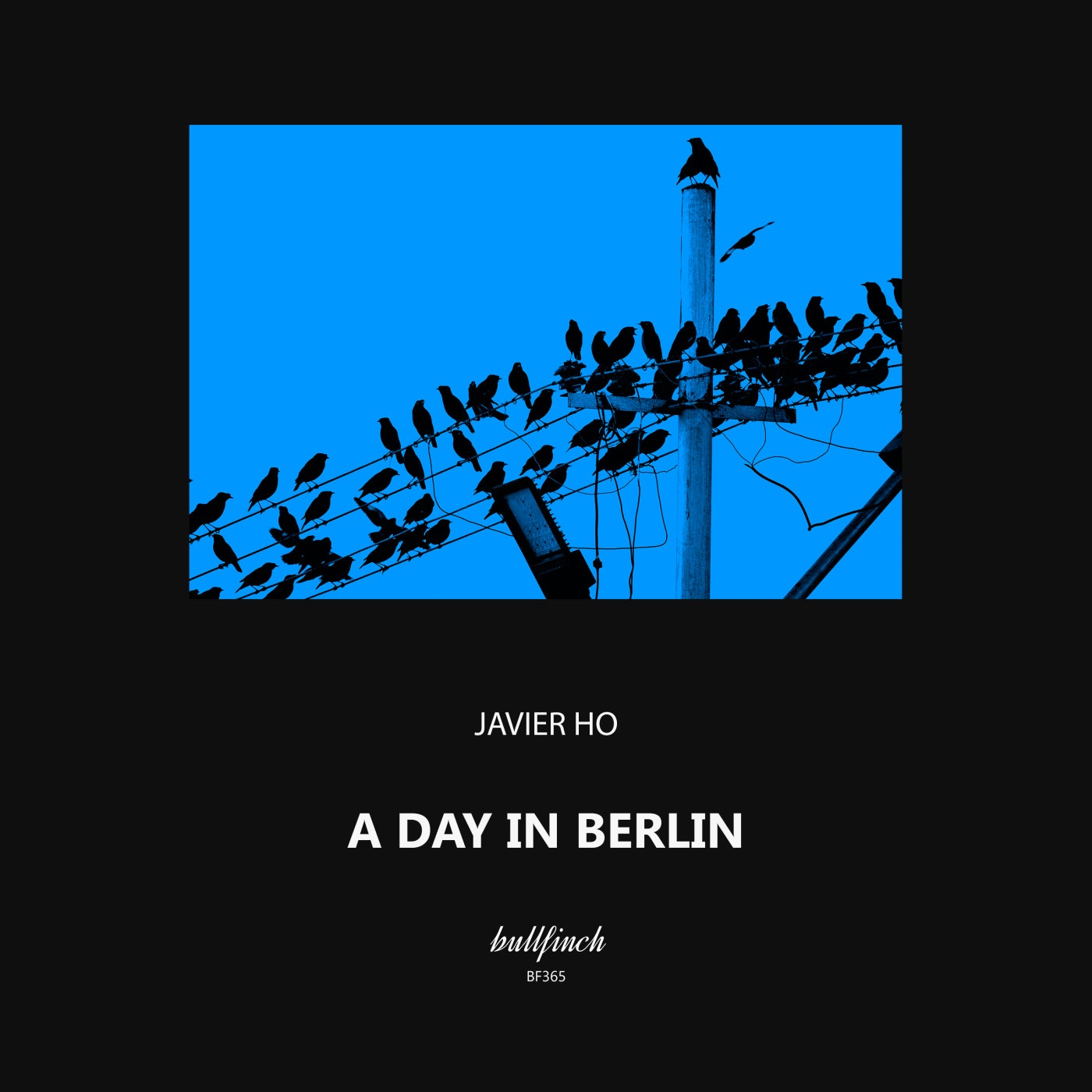 A Day in Berlin