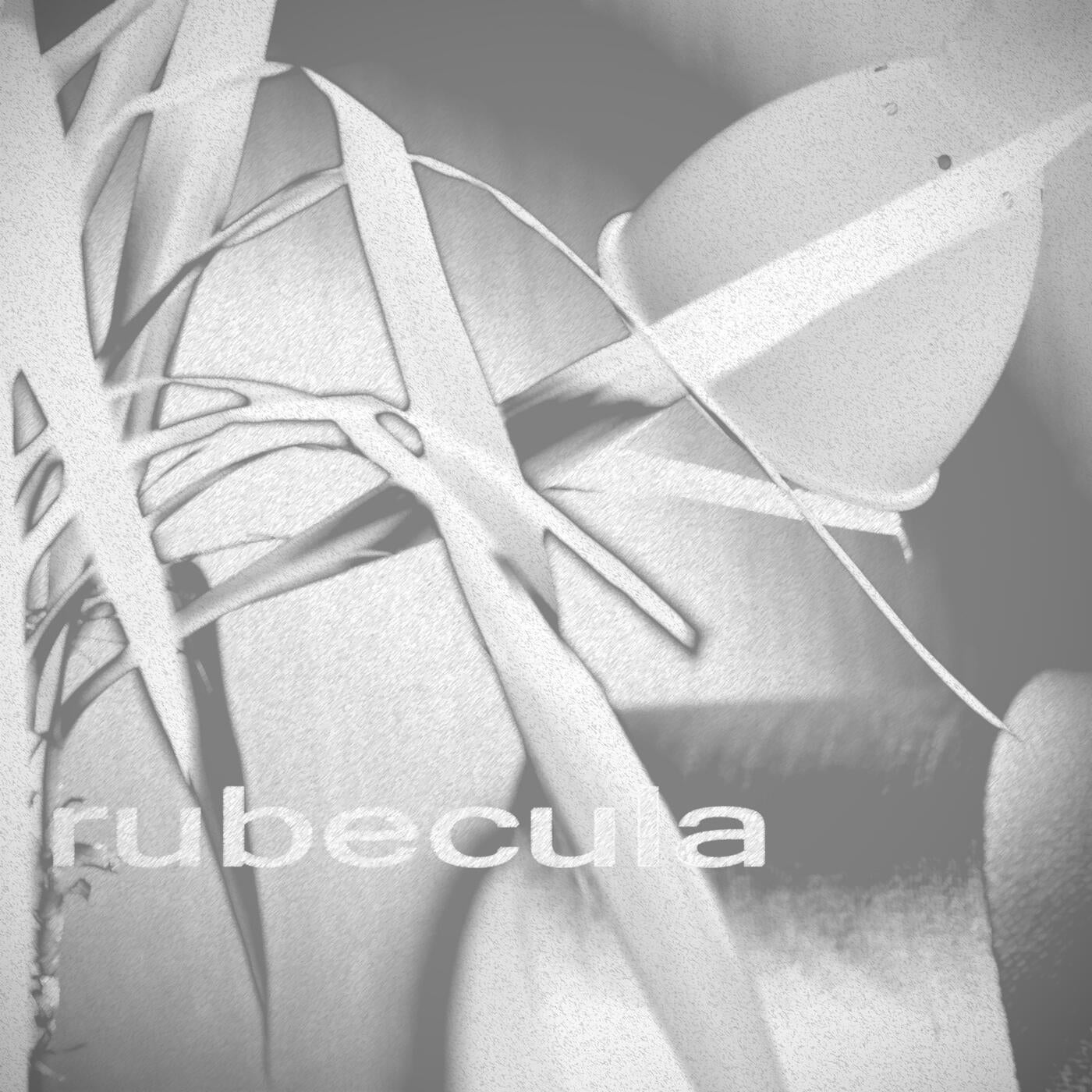 rubecula