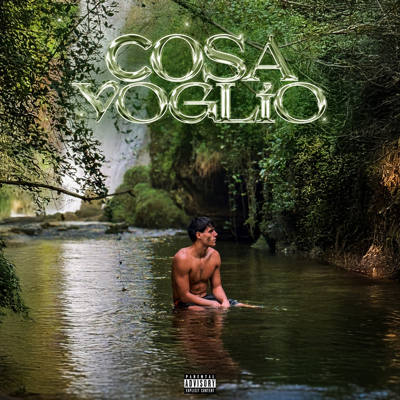 Cosa Voglio (VOLONTÀ)