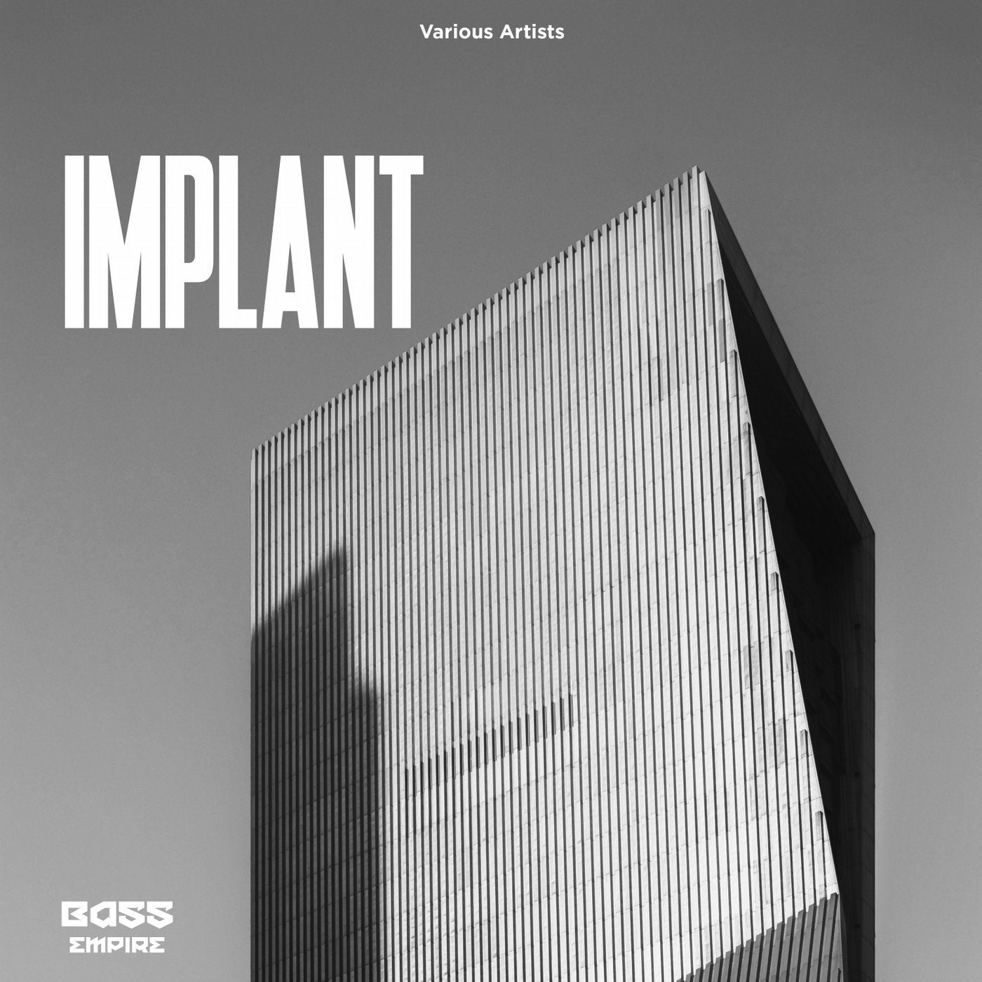 Implant