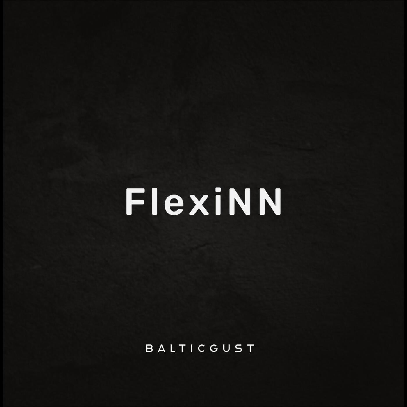 FlexiNN