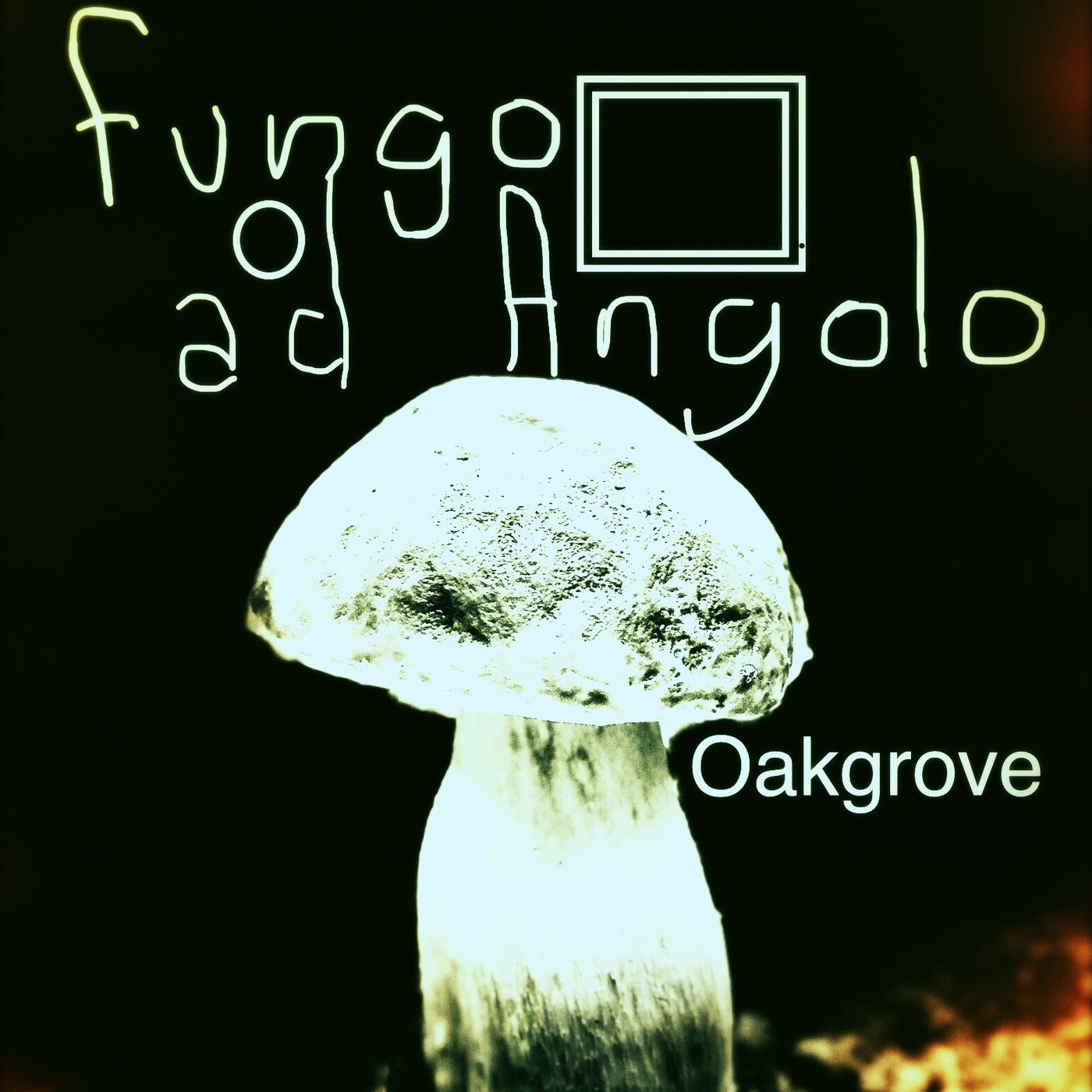 Fungo ad angolo