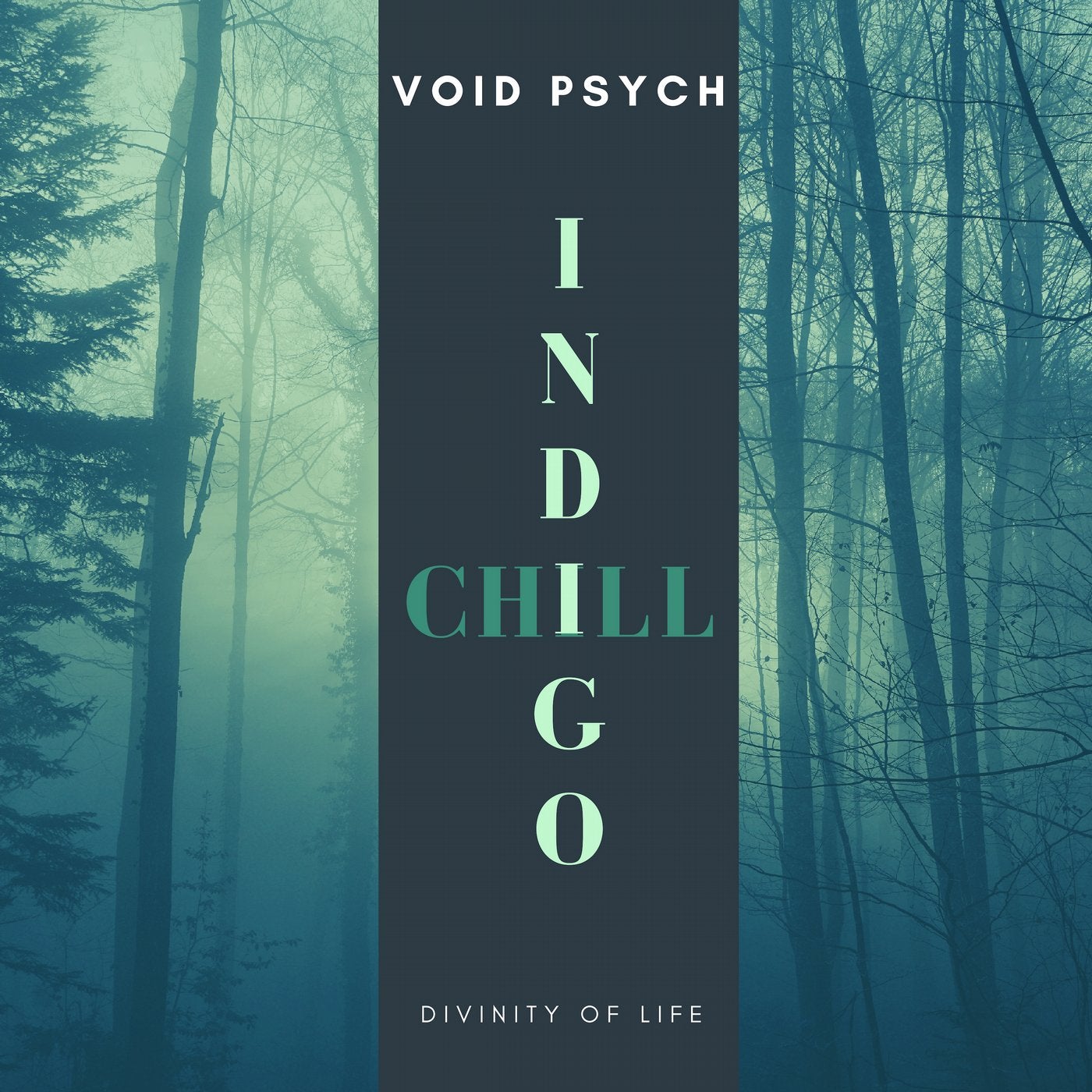 Divinity Of Life