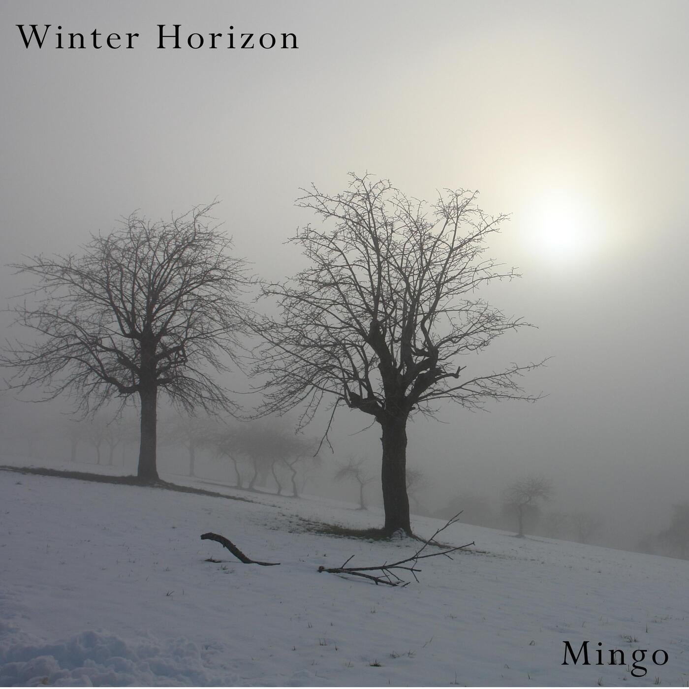 Winter Horizon