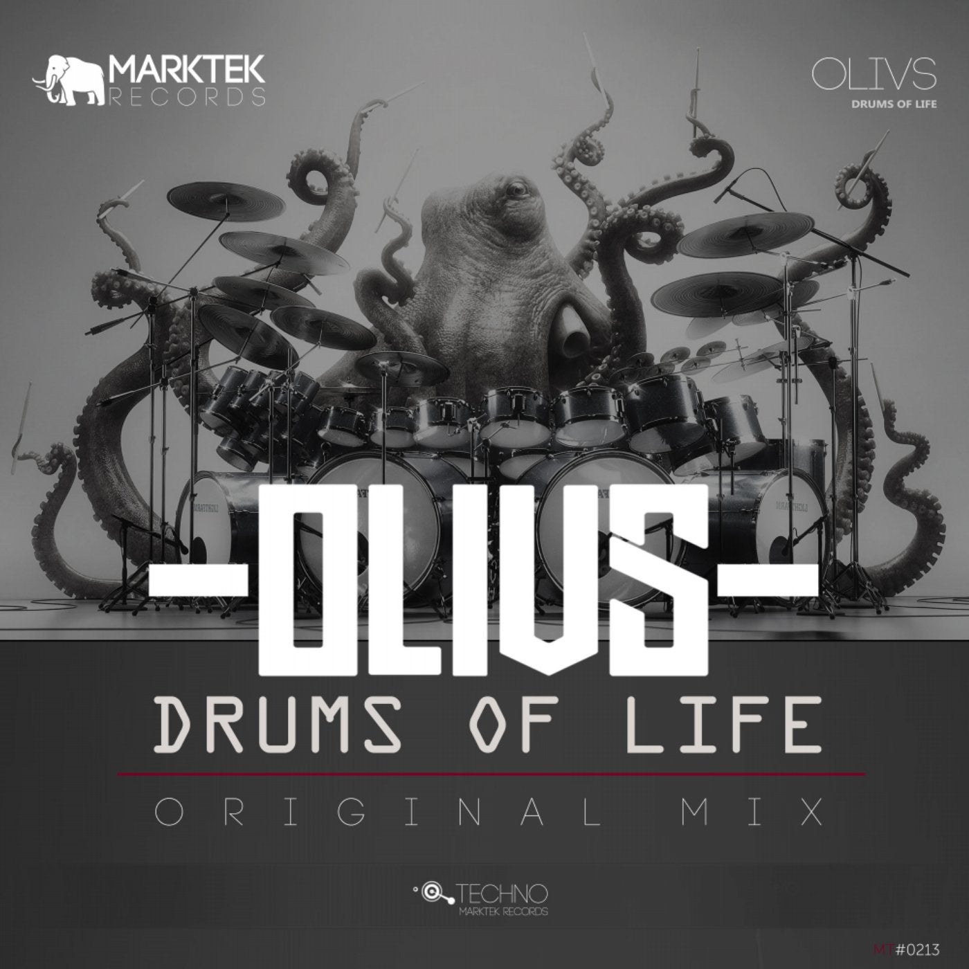 Drums of Life