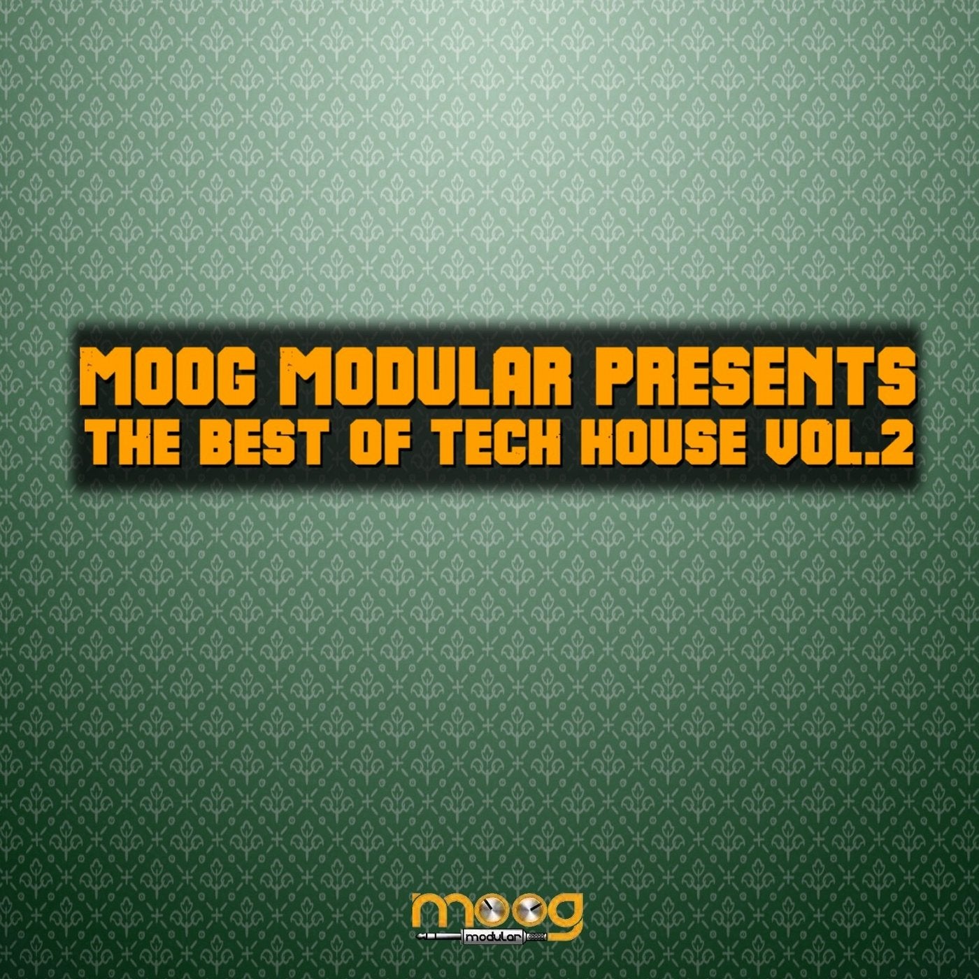 Moog Modular Presents The Best Of Tech House, Vol. 2