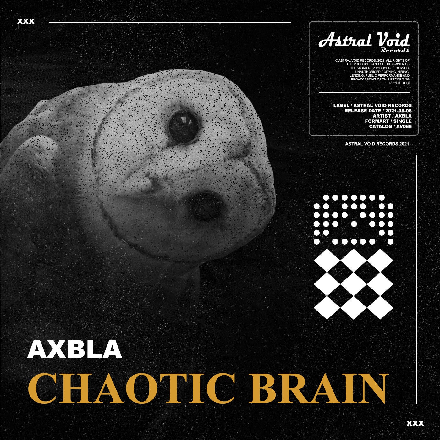 Chaotic Brain