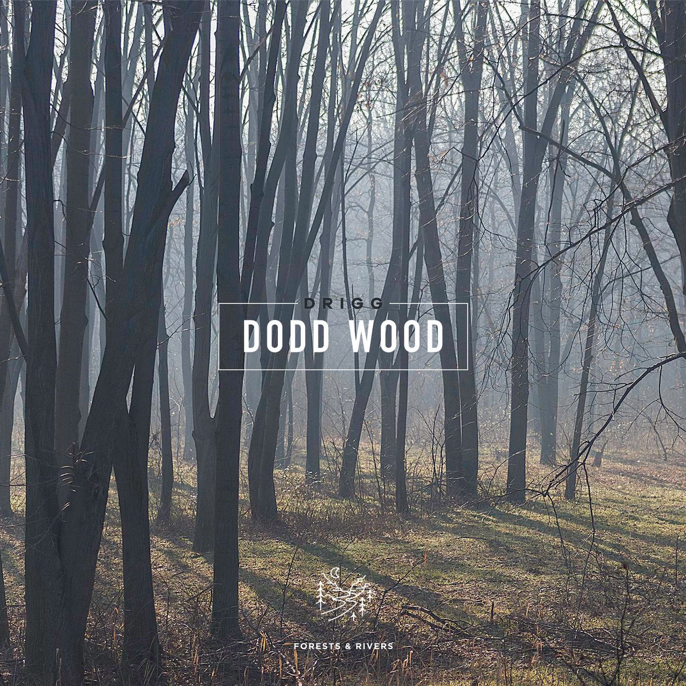 Dodd Wood