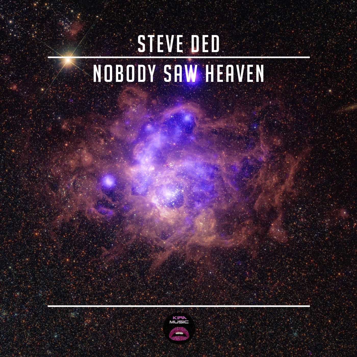 Nobody Saw Heaven