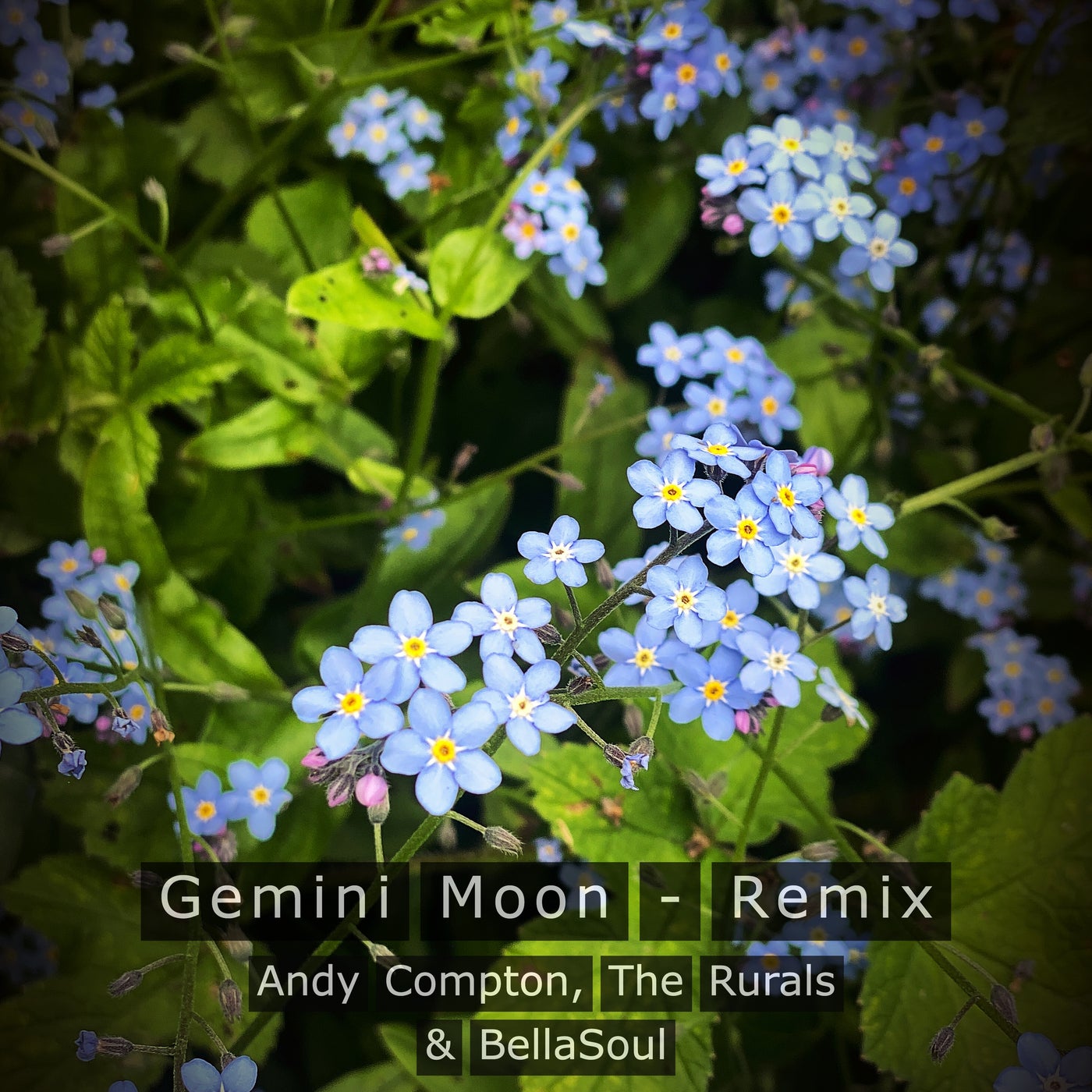 Gemini Moon - Remix