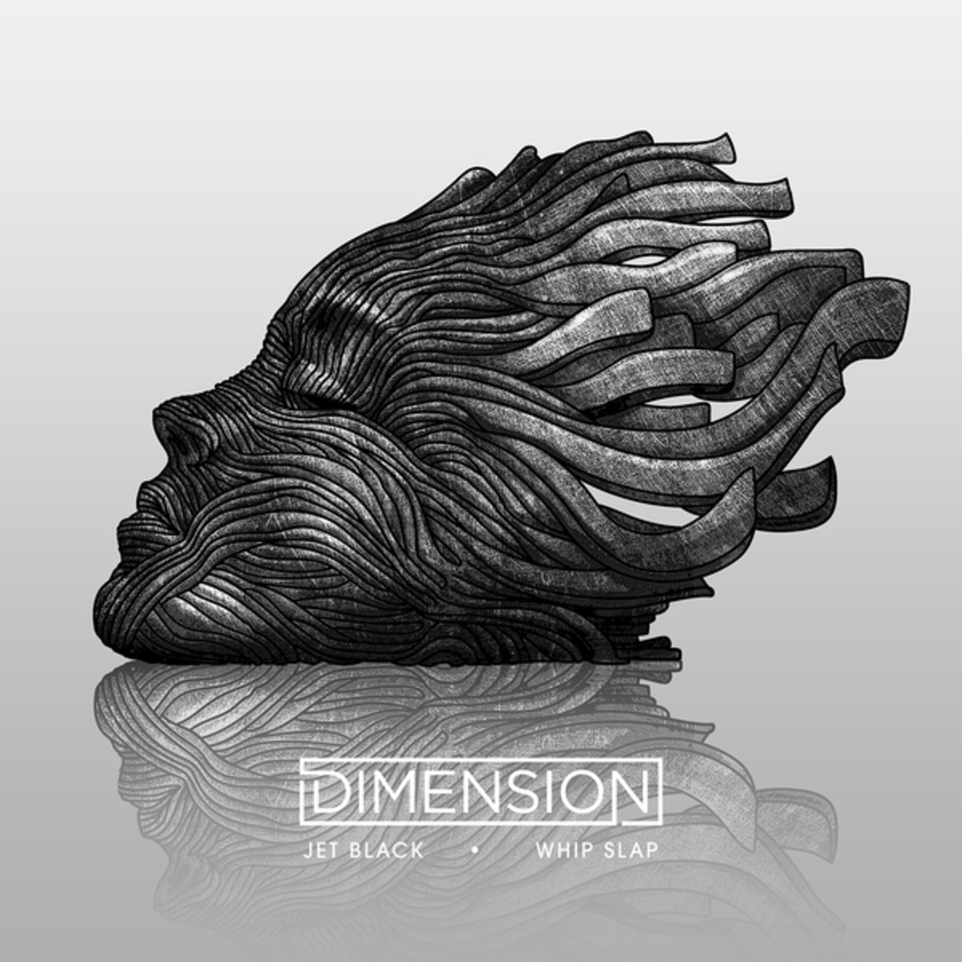 Dimension - Whip Slap album artwork
