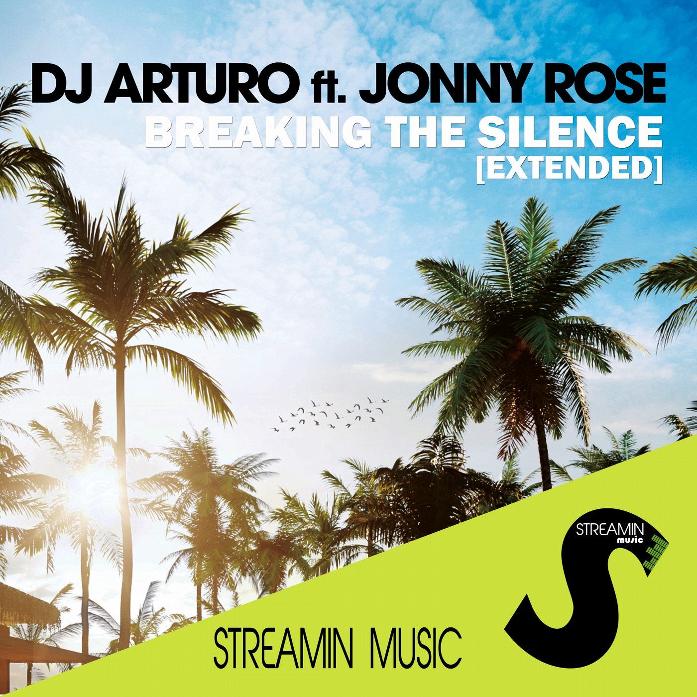 Breaking the Silence(Extended Mix)