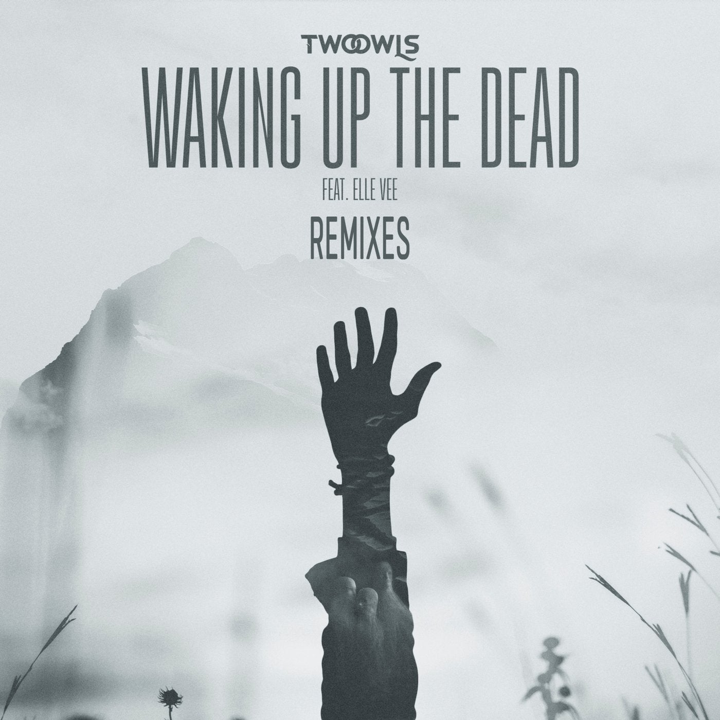 Waking Up The Dead (Remixes)