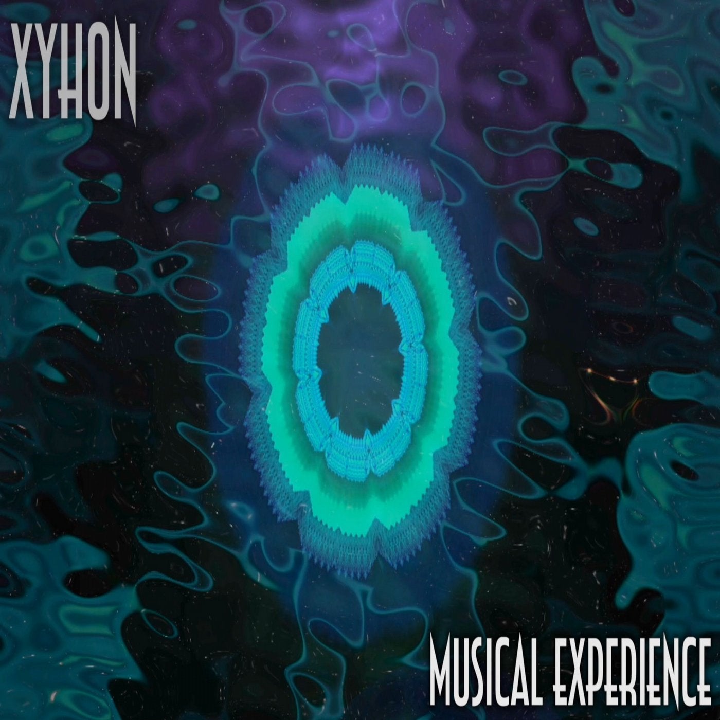 Musical Experience
